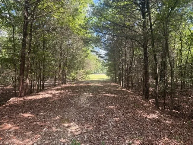 Farm For Sale in Henderson County , 5767 Fm 2339, Murchison, Texas 75778, 3 Bedrooms, 1 Bathroom, 2 Garage spaces, 1,800 Sqft, built in 0, Price $1,600,000, mls#21321219, Real Estate Agent in Murchison, Homes For Sale in Henderson county, Homes For Sale in Murchison, Realtor in Murchison Texas, Real Estate Brokerage Independent Realty Texas, Luminita Cordes Realtor