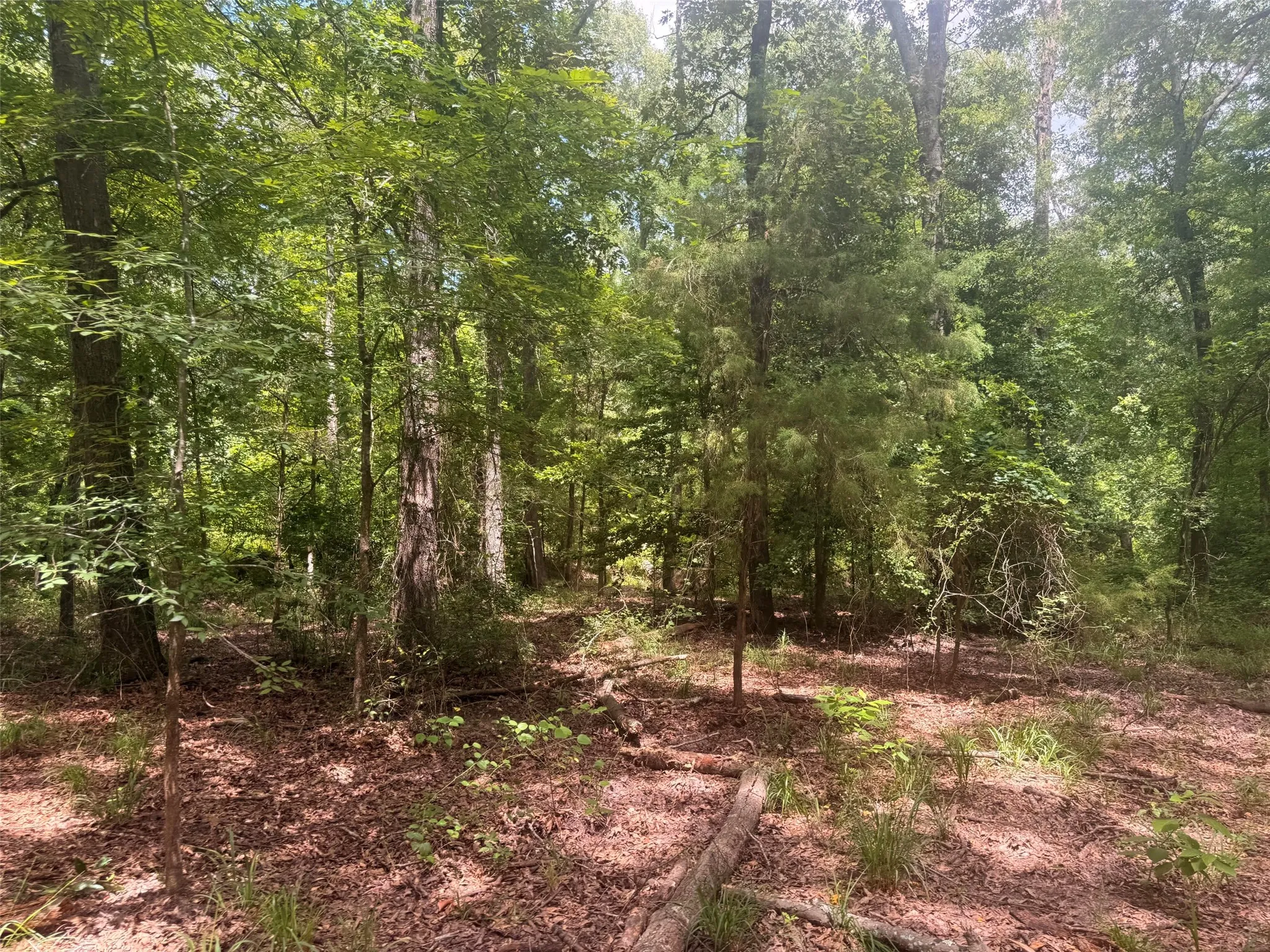 Farm For Sale in Henderson County , 5767 Fm 2339, Murchison, Texas 75778, 3 Bedrooms, 1 Bathroom, 2 Garage spaces, 1,800 Sqft, built in 0, Price $1,600,000, mls#21321219, Real Estate Agent in Murchison, Homes For Sale in Henderson county, Homes For Sale in Murchison, Realtor in Murchison Texas, Real Estate Brokerage Independent Realty Texas, Luminita Cordes Realtor