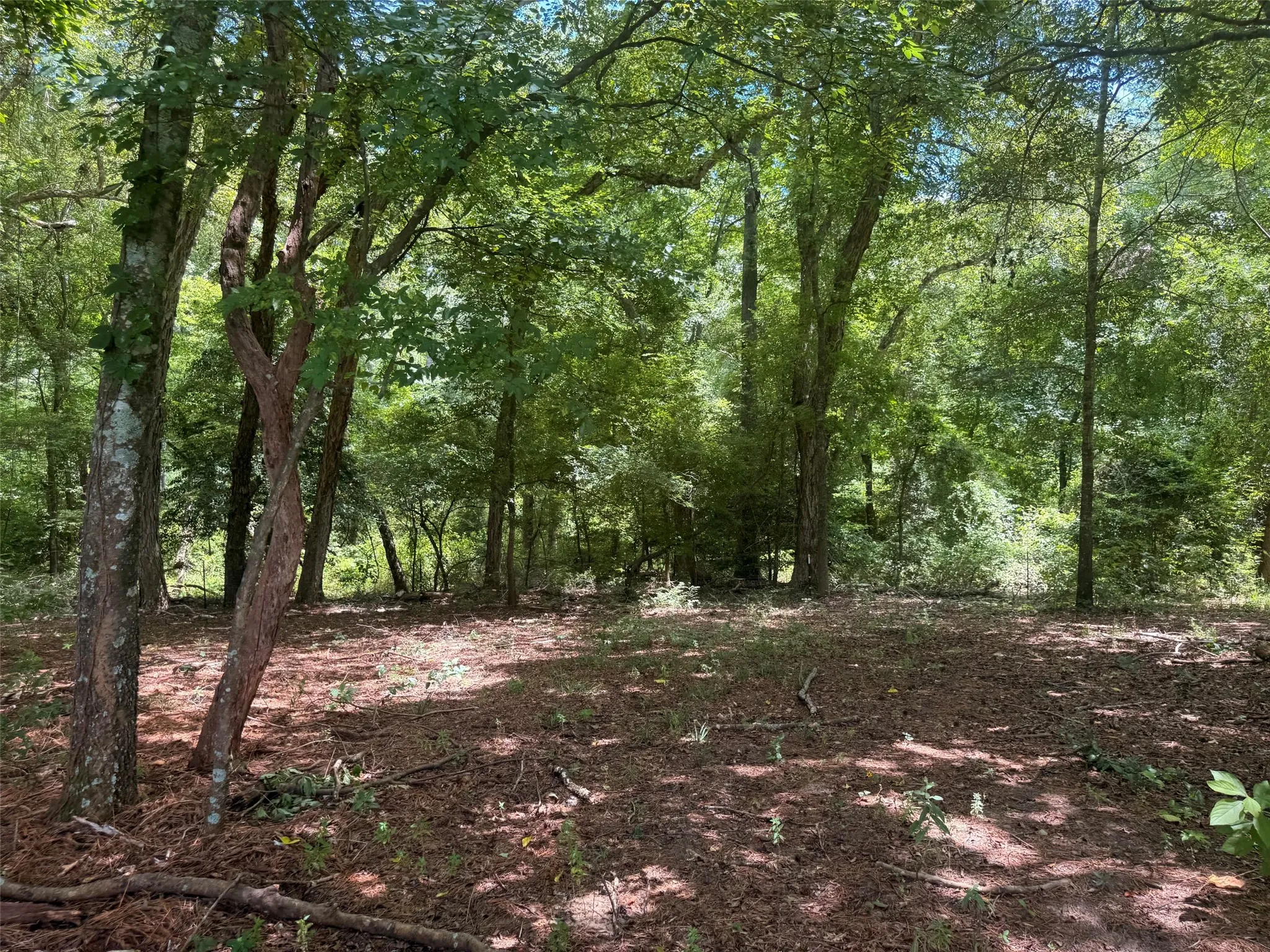 Farm For Sale in Henderson County , 5767 Fm 2339, Murchison, Texas 75778, 3 Bedrooms, 1 Bathroom, 2 Garage spaces, 1,800 Sqft, built in 0, Price $1,600,000, mls#21321219, Real Estate Agent in Murchison, Homes For Sale in Henderson county, Homes For Sale in Murchison, Realtor in Murchison Texas, Real Estate Brokerage Independent Realty Texas, Luminita Cordes Realtor