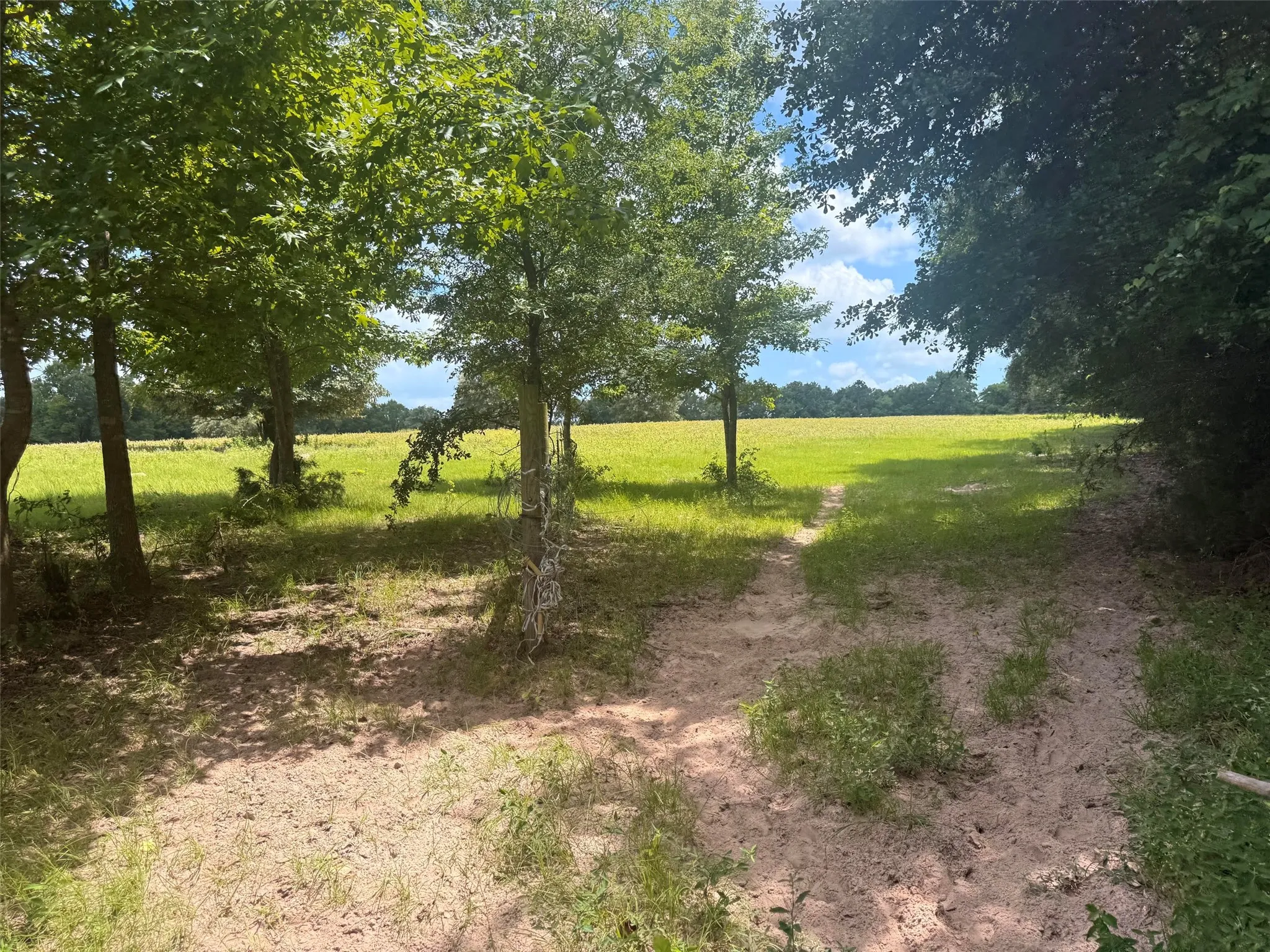 Farm For Sale in Henderson County , 5767 Fm 2339, Murchison, Texas 75778, 3 Bedrooms, 1 Bathroom, 2 Garage spaces, 1,800 Sqft, built in 0, Price $1,600,000, mls#21321219, Real Estate Agent in Murchison, Homes For Sale in Henderson county, Homes For Sale in Murchison, Realtor in Murchison Texas, Real Estate Brokerage Independent Realty Texas, Luminita Cordes Realtor