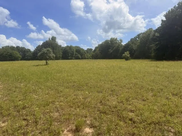 Farm For Sale in Henderson County , 5767 Fm 2339, Murchison, Texas 75778, 3 Bedrooms, 1 Bathroom, 2 Garage spaces, 1,800 Sqft, built in 0, Price $1,600,000, mls#21321219, Real Estate Agent in Murchison, Homes For Sale in Henderson county, Homes For Sale in Murchison, Realtor in Murchison Texas, Real Estate Brokerage Independent Realty Texas, Luminita Cordes Realtor