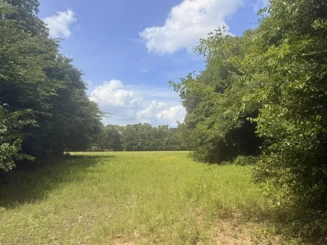 Farm For Sale in Henderson County , 5767 Fm 2339, Murchison, Texas 75778, 3 Bedrooms, 1 Bathroom, 2 Garage spaces, 1,800 Sqft, built in 0, Price $1,600,000, mls#21321219, Real Estate Agent in Murchison, Homes For Sale in Henderson county, Homes For Sale in Murchison, Realtor in Murchison Texas, Real Estate Brokerage Independent Realty Texas, Luminita Cordes Realtor