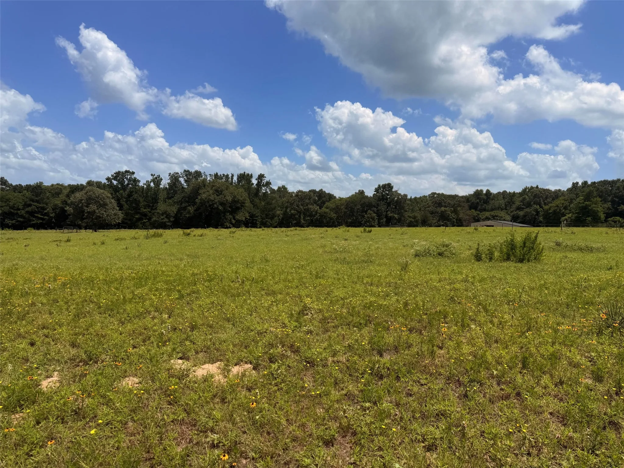 Farm For Sale in Henderson County , 5767 Fm 2339, Murchison, Texas 75778, 3 Bedrooms, 1 Bathroom, 2 Garage spaces, 1,800 Sqft, built in 0, Price $1,600,000, mls#21321219, Real Estate Agent in Murchison, Homes For Sale in Henderson county, Homes For Sale in Murchison, Realtor in Murchison Texas, Real Estate Brokerage Independent Realty Texas, Luminita Cordes Realtor