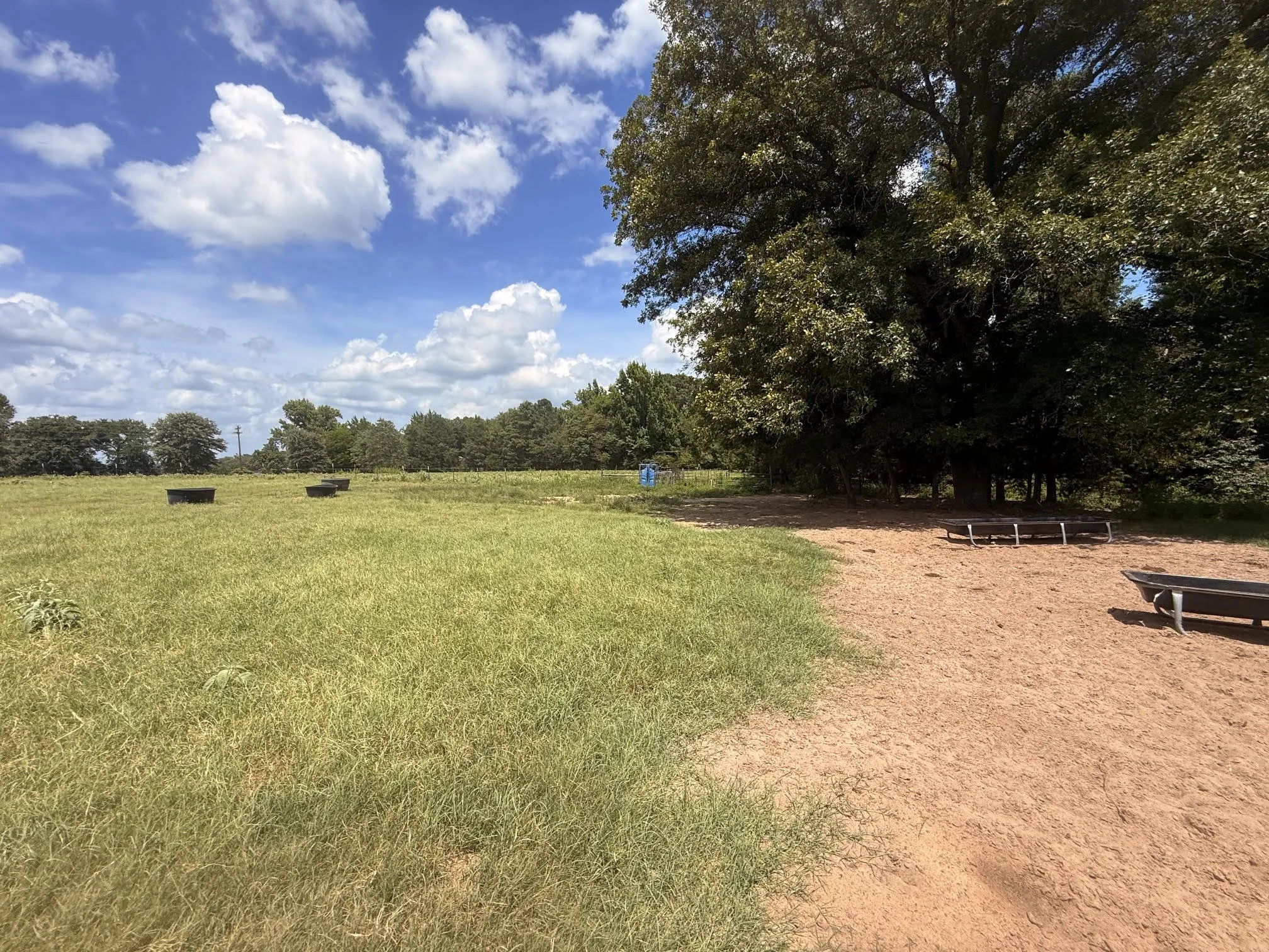 Farm For Sale in Henderson County , 5767 Fm 2339, Murchison, Texas 75778, 3 Bedrooms, 1 Bathroom, 2 Garage spaces, 1,800 Sqft, built in 0, Price $1,600,000, mls#21321219, Real Estate Agent in Murchison, Homes For Sale in Henderson county, Homes For Sale in Murchison, Realtor in Murchison Texas, Real Estate Brokerage Independent Realty Texas, Luminita Cordes Realtor