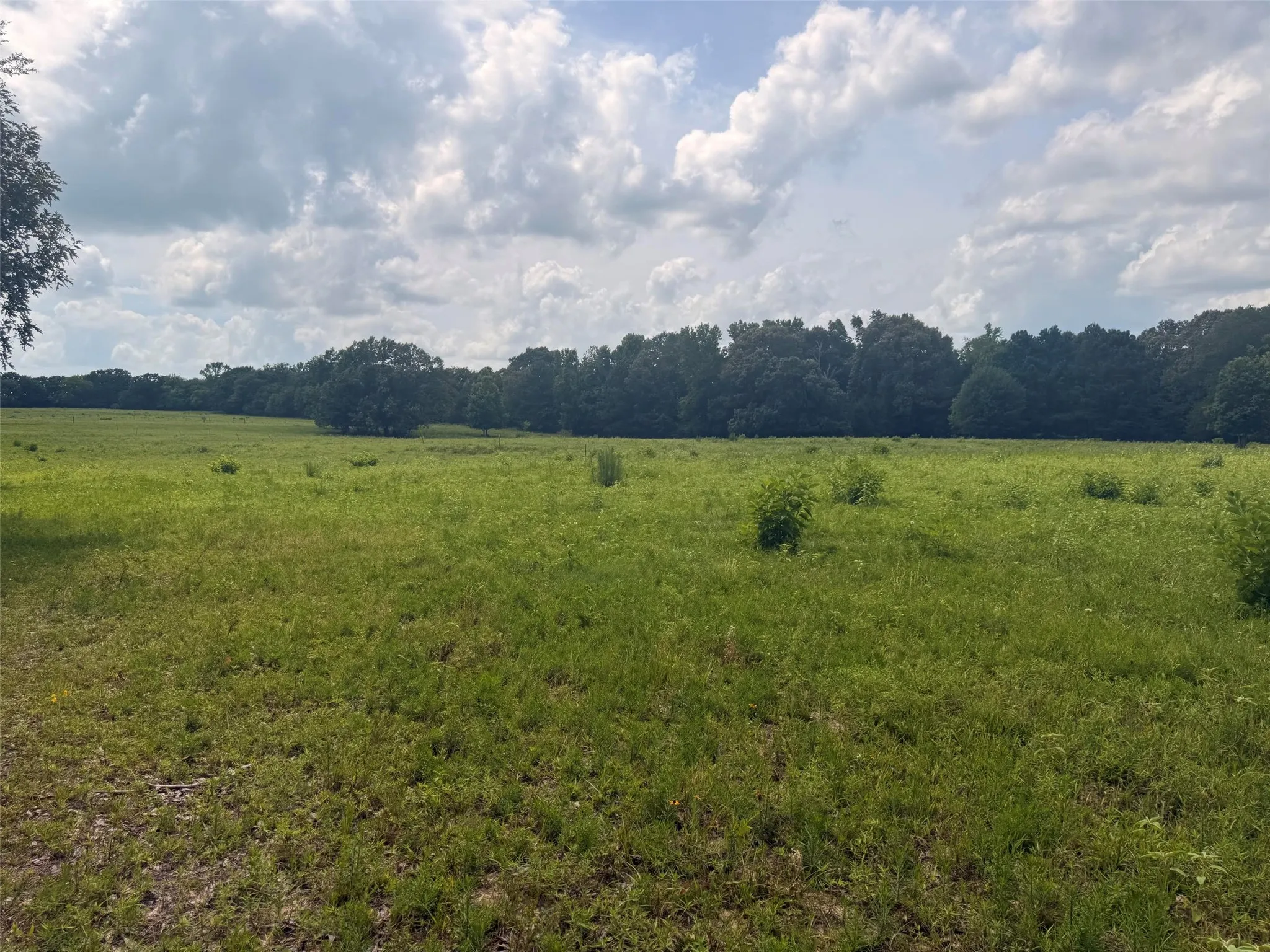 Farm For Sale in Henderson County , 5767 Fm 2339, Murchison, Texas 75778, 3 Bedrooms, 1 Bathroom, 2 Garage spaces, 1,800 Sqft, built in 0, Price $1,600,000, mls#21321219, Real Estate Agent in Murchison, Homes For Sale in Henderson county, Homes For Sale in Murchison, Realtor in Murchison Texas, Real Estate Brokerage Independent Realty Texas, Luminita Cordes Realtor