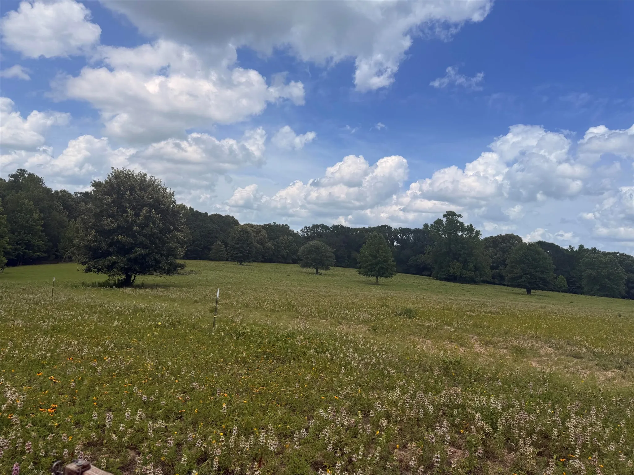 Farm For Sale in Henderson County , 5767 Fm 2339, Murchison, Texas 75778, 3 Bedrooms, 1 Bathroom, 2 Garage spaces, 1,800 Sqft, built in 0, Price $1,600,000, mls#21321219, Real Estate Agent in Murchison, Homes For Sale in Henderson county, Homes For Sale in Murchison, Realtor in Murchison Texas, Real Estate Brokerage Independent Realty Texas, Luminita Cordes Realtor
