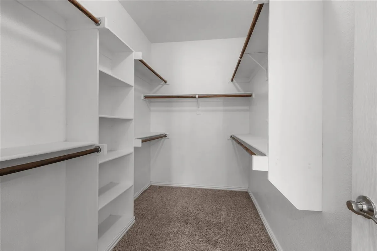 Walk-in closet featuring white built-in shelving, multiple hanging rods, and neutral carpet flooring