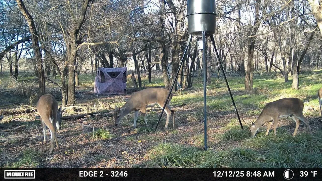 Ranch For Sale in Palo Pinto County , 200 Patterson Lane, Palo Pinto, Texas 76484, 0, 0, Garage spaces, 0 Sqft, built in 0, Price $850,000, mls#21321317, Real Estate Agent in Palo Pinto, Homes For Sale in Palo Pinto county, Homes For Sale in Palo Pinto, Realtor in Palo Pinto Texas, Real Estate Brokerage Independent Realty Texas, Luminita Cordes Realtor