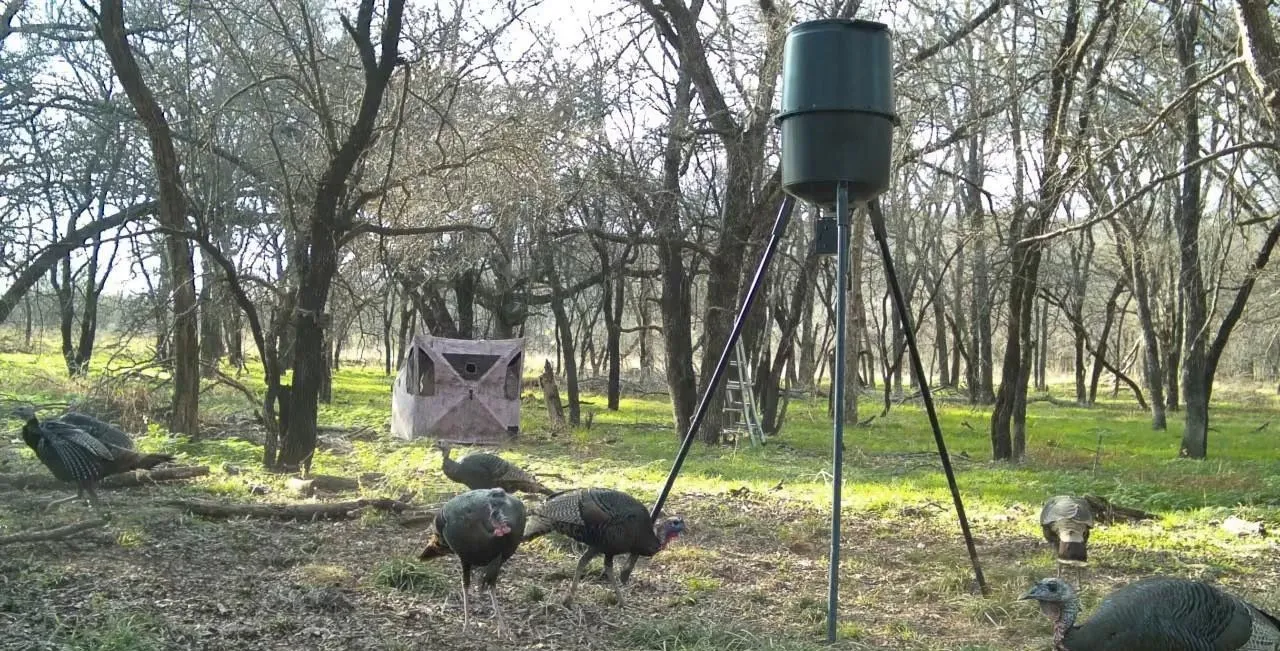 Ranch For Sale in Palo Pinto County , 200 Patterson Lane, Palo Pinto, Texas 76484, 0, 0, Garage spaces, 0 Sqft, built in 0, Price $850,000, mls#21321317, Real Estate Agent in Palo Pinto, Homes For Sale in Palo Pinto county, Homes For Sale in Palo Pinto, Realtor in Palo Pinto Texas, Real Estate Brokerage Independent Realty Texas, Luminita Cordes Realtor