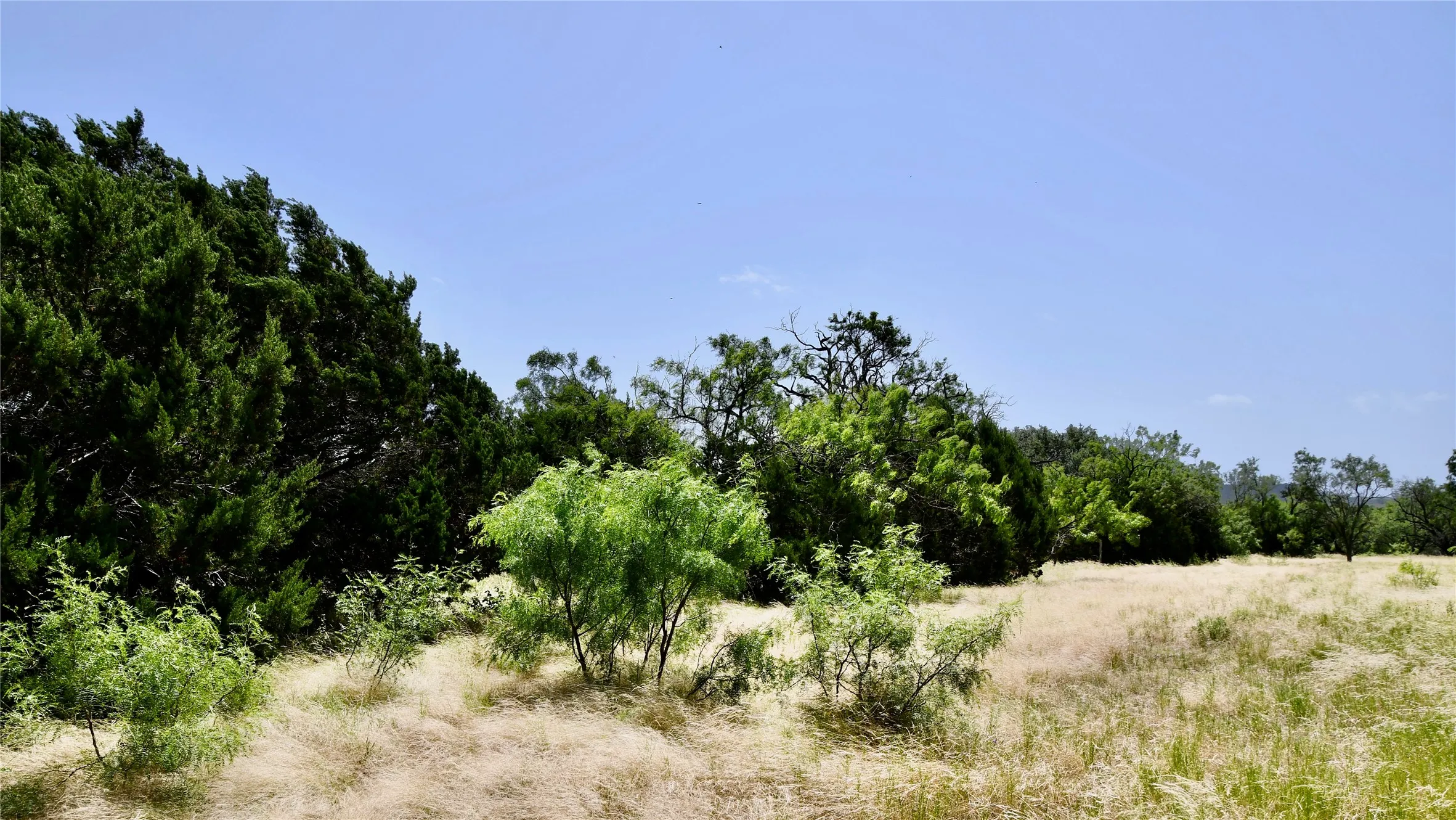 Ranch For Sale in Lampasas County , TBD CR 3340, Kempner, Texas 76539, 0, 0, Garage spaces, 0 Sqft, built in 0, Price $962,500, mls#21321325, Real Estate Agent in Kempner, Homes For Sale in Lampasas county, Homes For Sale in Kempner, Realtor in Kempner Texas, Real Estate Brokerage Independent Realty Texas, Luminita Cordes Realtor