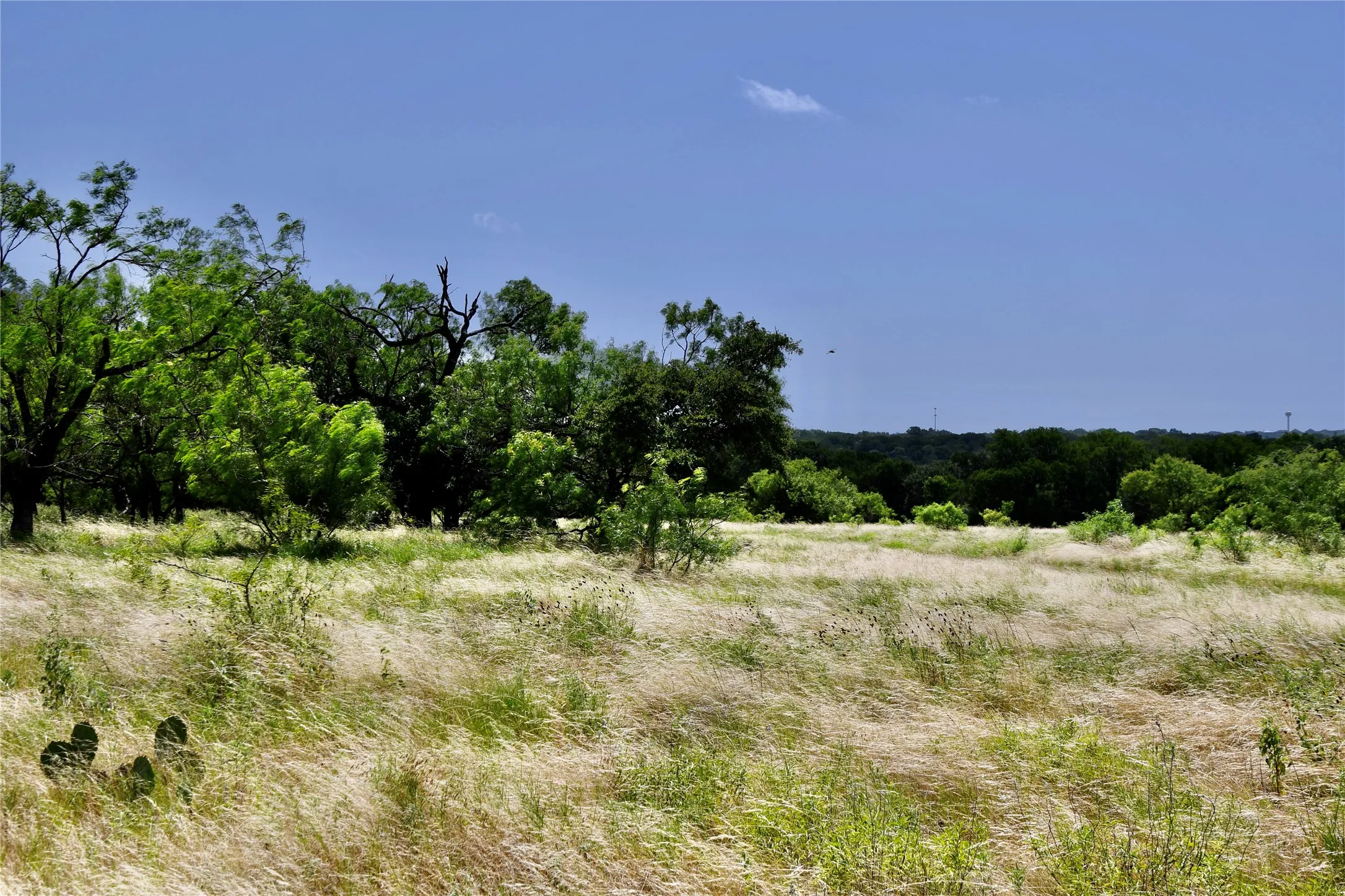 Ranch For Sale in Lampasas County , TBD CR 3340, Kempner, Texas 76539, 0, 0, Garage spaces, 0 Sqft, built in 0, Price $962,500, mls#21321325, Real Estate Agent in Kempner, Homes For Sale in Lampasas county, Homes For Sale in Kempner, Realtor in Kempner Texas, Real Estate Brokerage Independent Realty Texas, Luminita Cordes Realtor