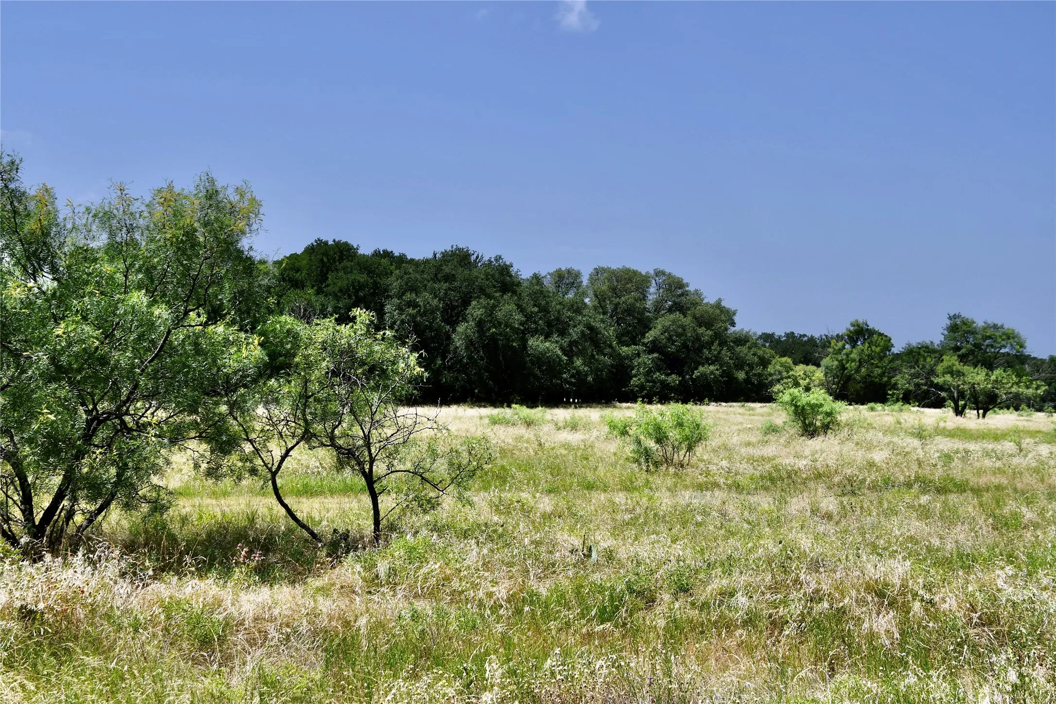 Ranch For Sale in Lampasas County , TBD CR 3340, Kempner, Texas 76539, 0, 0, Garage spaces, 0 Sqft, built in 0, Price $962,500, mls#21321325, Real Estate Agent in Kempner, Homes For Sale in Lampasas county, Homes For Sale in Kempner, Realtor in Kempner Texas, Real Estate Brokerage Independent Realty Texas, Luminita Cordes Realtor