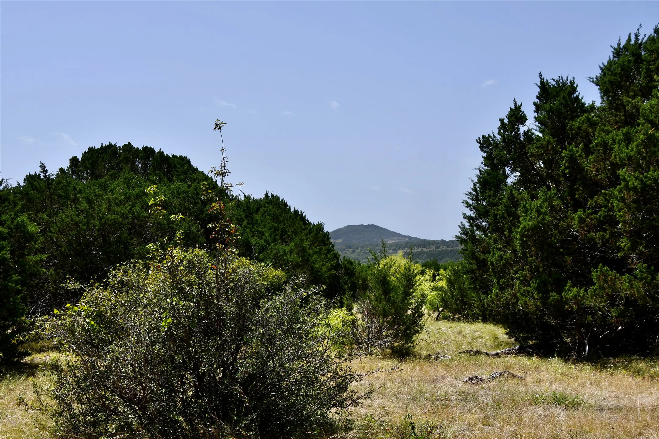 Ranch For Sale in Lampasas County , TBD CR 3340, Kempner, Texas 76539, 0, 0, Garage spaces, 0 Sqft, built in 0, Price $962,500, mls#21321325, Real Estate Agent in Kempner, Homes For Sale in Lampasas county, Homes For Sale in Kempner, Realtor in Kempner Texas, Real Estate Brokerage Independent Realty Texas, Luminita Cordes Realtor