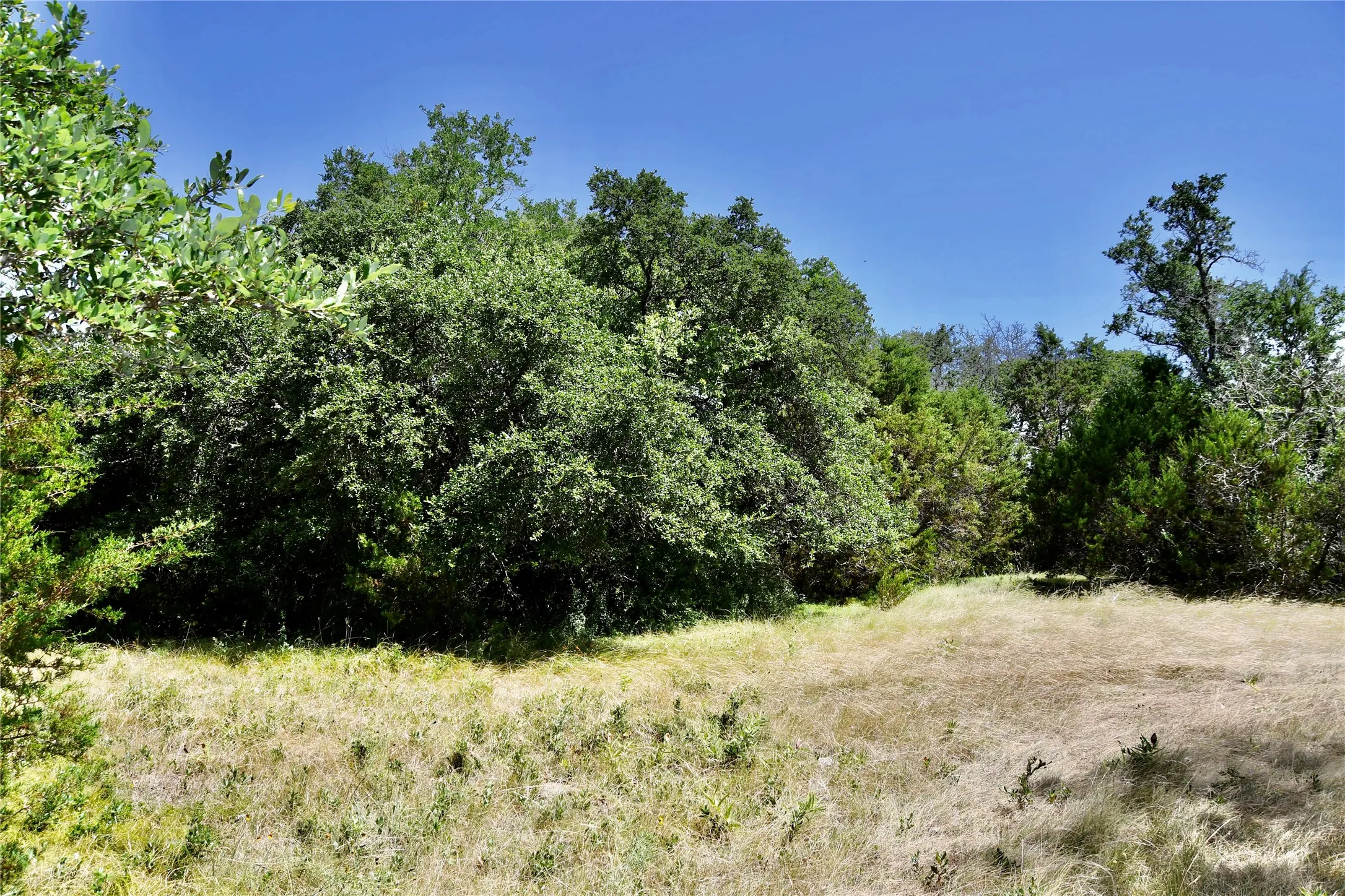 Ranch For Sale in Lampasas County , TBD CR 3340, Kempner, Texas 76539, 0, 0, Garage spaces, 0 Sqft, built in 0, Price $962,500, mls#21321325, Real Estate Agent in Kempner, Homes For Sale in Lampasas county, Homes For Sale in Kempner, Realtor in Kempner Texas, Real Estate Brokerage Independent Realty Texas, Luminita Cordes Realtor