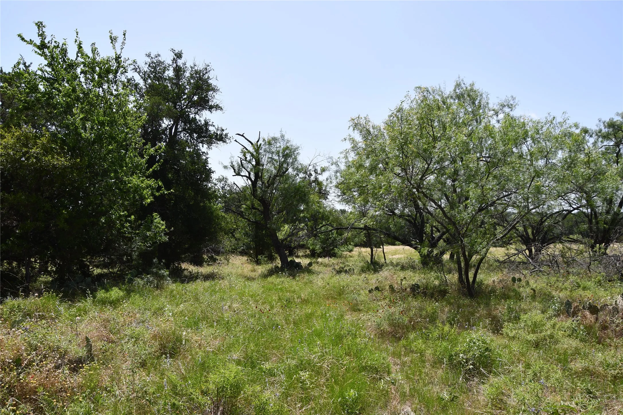 Ranch For Sale in Lampasas County , TBD CR 3340, Kempner, Texas 76539, 0, 0, Garage spaces, 0 Sqft, built in 0, Price $962,500, mls#21321325, Real Estate Agent in Kempner, Homes For Sale in Lampasas county, Homes For Sale in Kempner, Realtor in Kempner Texas, Real Estate Brokerage Independent Realty Texas, Luminita Cordes Realtor