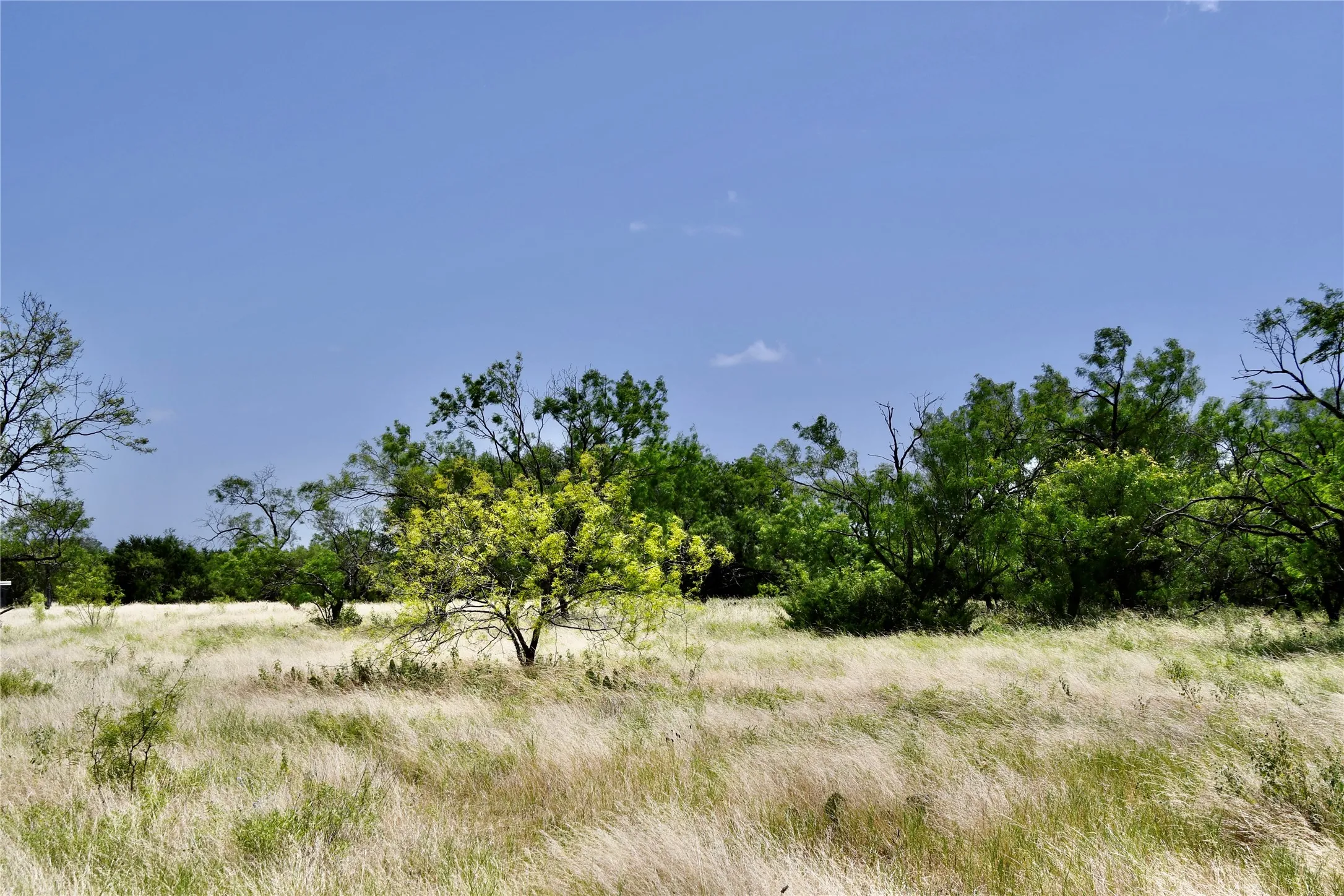 Ranch For Sale in Lampasas County , TBD CR 3340, Kempner, Texas 76539, 0, 0, Garage spaces, 0 Sqft, built in 0, Price $962,500, mls#21321325, Real Estate Agent in Kempner, Homes For Sale in Lampasas county, Homes For Sale in Kempner, Realtor in Kempner Texas, Real Estate Brokerage Independent Realty Texas, Luminita Cordes Realtor