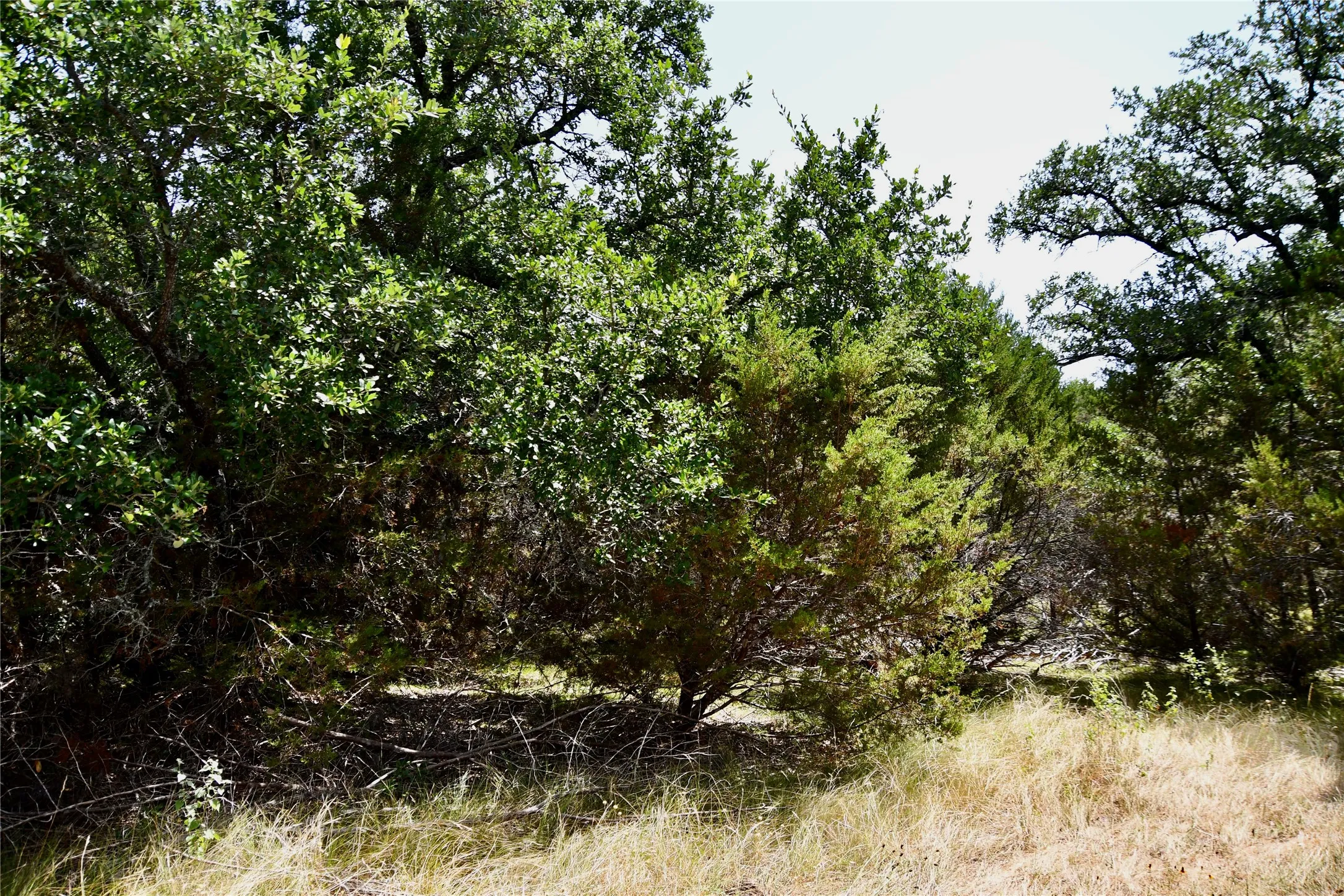 Ranch For Sale in Lampasas County , TBD CR 3340, Kempner, Texas 76539, 0, 0, Garage spaces, 0 Sqft, built in 0, Price $962,500, mls#21321325, Real Estate Agent in Kempner, Homes For Sale in Lampasas county, Homes For Sale in Kempner, Realtor in Kempner Texas, Real Estate Brokerage Independent Realty Texas, Luminita Cordes Realtor