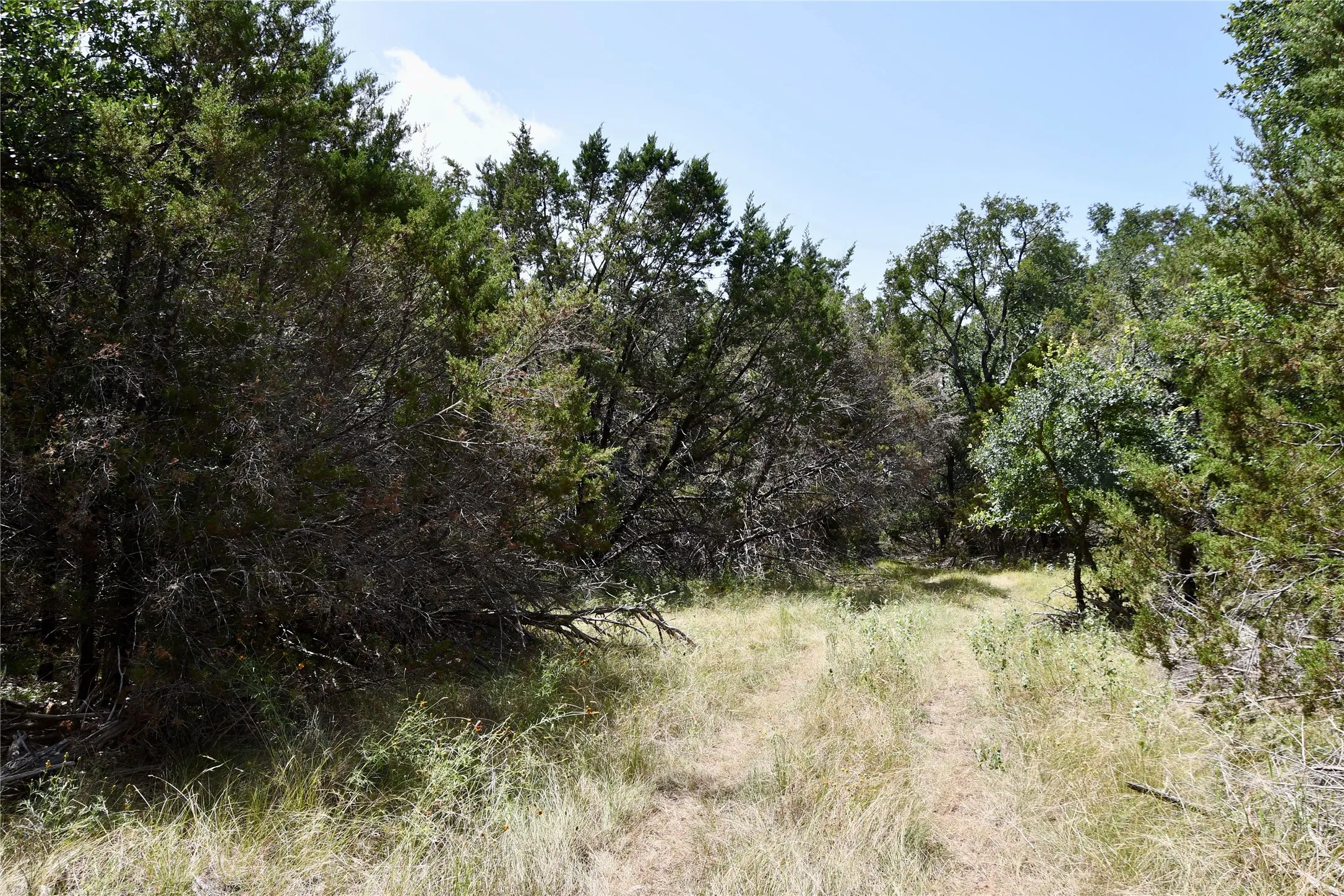 Ranch For Sale in Lampasas County , TBD CR 3340, Kempner, Texas 76539, 0, 0, Garage spaces, 0 Sqft, built in 0, Price $962,500, mls#21321325, Real Estate Agent in Kempner, Homes For Sale in Lampasas county, Homes For Sale in Kempner, Realtor in Kempner Texas, Real Estate Brokerage Independent Realty Texas, Luminita Cordes Realtor