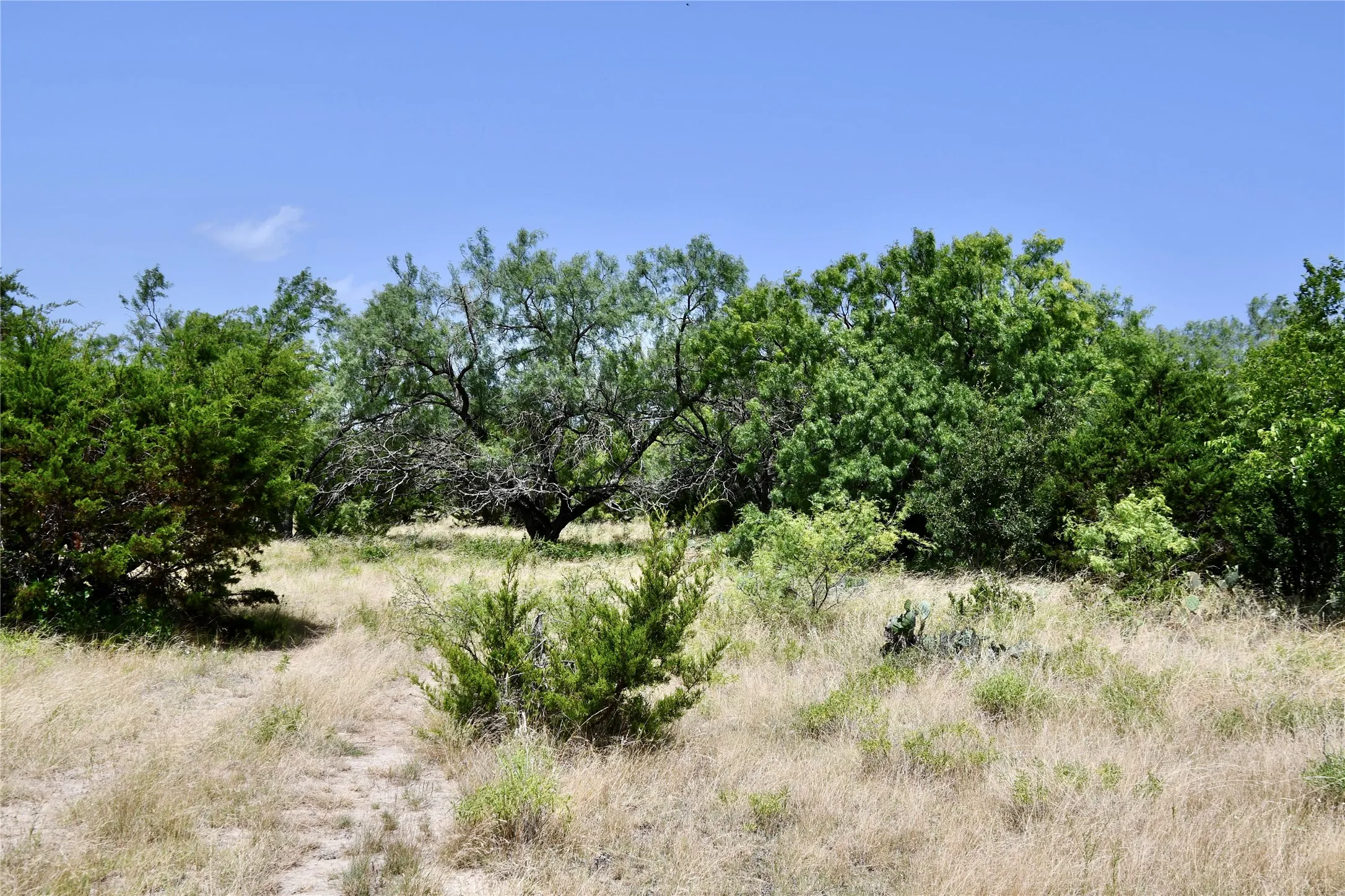 Ranch For Sale in Lampasas County , TBD CR 3340, Kempner, Texas 76539, 0, 0, Garage spaces, 0 Sqft, built in 0, Price $962,500, mls#21321325, Real Estate Agent in Kempner, Homes For Sale in Lampasas county, Homes For Sale in Kempner, Realtor in Kempner Texas, Real Estate Brokerage Independent Realty Texas, Luminita Cordes Realtor