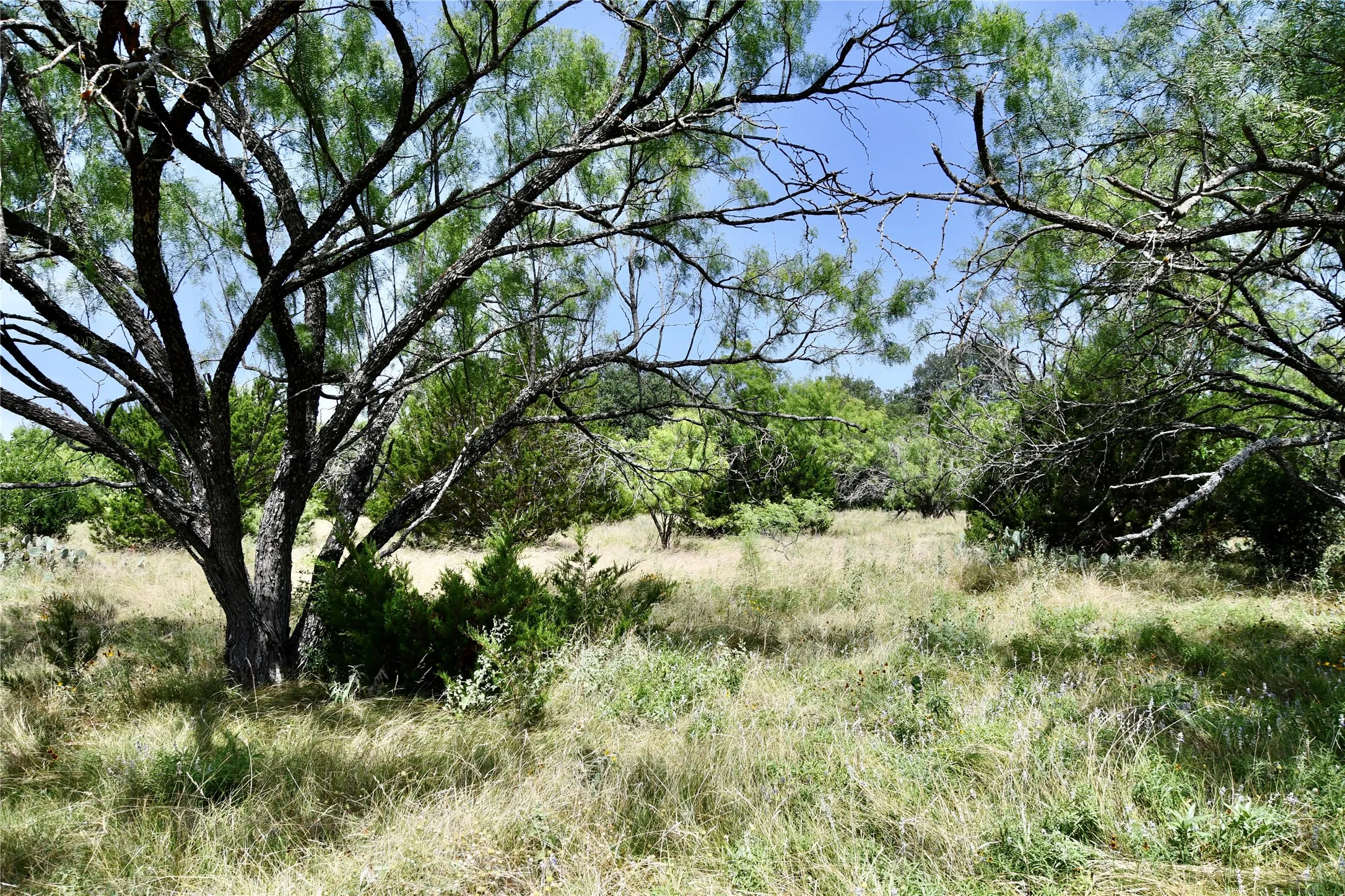 Ranch For Sale in Lampasas County , TBD CR 3340, Kempner, Texas 76539, 0, 0, Garage spaces, 0 Sqft, built in 0, Price $962,500, mls#21321325, Real Estate Agent in Kempner, Homes For Sale in Lampasas county, Homes For Sale in Kempner, Realtor in Kempner Texas, Real Estate Brokerage Independent Realty Texas, Luminita Cordes Realtor