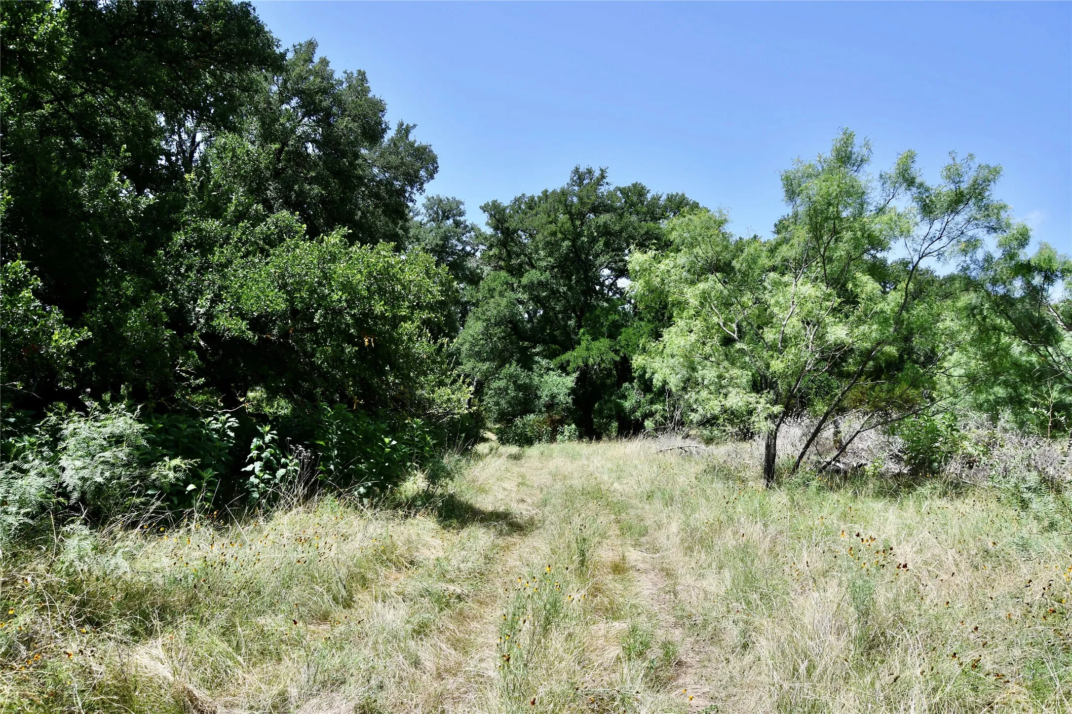 Ranch For Sale in Lampasas County , TBD CR 3340, Kempner, Texas 76539, 0, 0, Garage spaces, 0 Sqft, built in 0, Price $962,500, mls#21321325, Real Estate Agent in Kempner, Homes For Sale in Lampasas county, Homes For Sale in Kempner, Realtor in Kempner Texas, Real Estate Brokerage Independent Realty Texas, Luminita Cordes Realtor