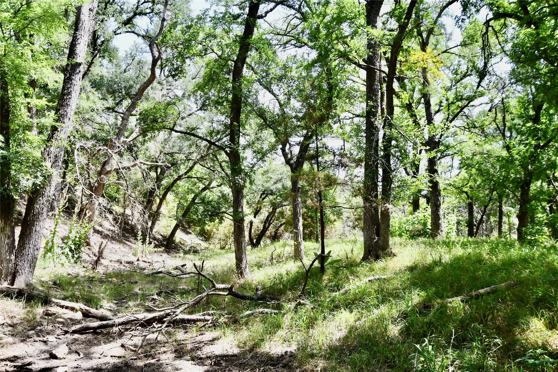 Ranch For Sale in Lampasas County , TBD CR 3340, Kempner, Texas 76539, 0, 0, Garage spaces, 0 Sqft, built in 0, Price $962,500, mls#21321325, Real Estate Agent in Kempner, Homes For Sale in Lampasas county, Homes For Sale in Kempner, Realtor in Kempner Texas, Real Estate Brokerage Independent Realty Texas, Luminita Cordes Realtor