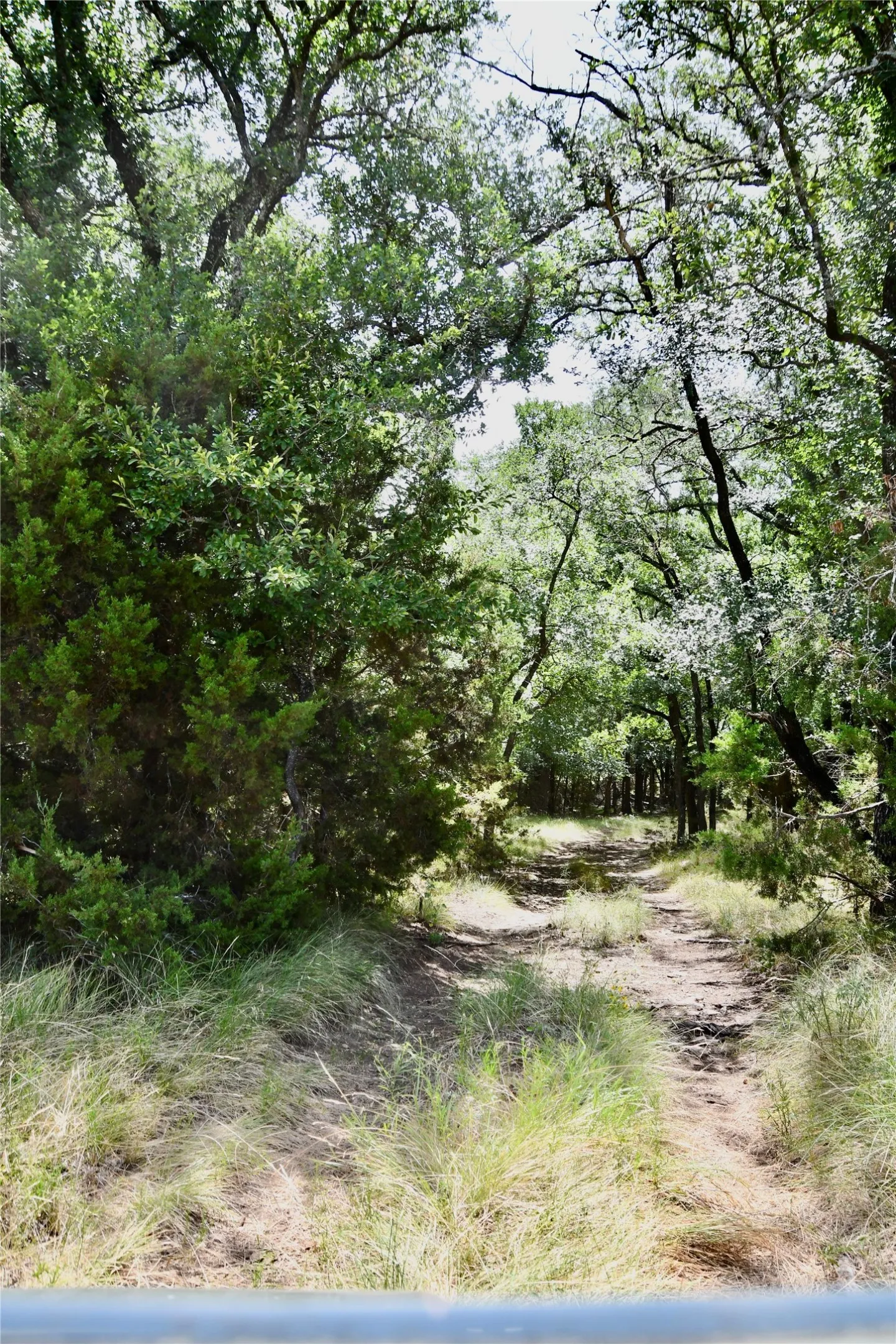 Ranch For Sale in Lampasas County , TBD CR 3340, Kempner, Texas 76539, 0, 0, Garage spaces, 0 Sqft, built in 0, Price $962,500, mls#21321325, Real Estate Agent in Kempner, Homes For Sale in Lampasas county, Homes For Sale in Kempner, Realtor in Kempner Texas, Real Estate Brokerage Independent Realty Texas, Luminita Cordes Realtor