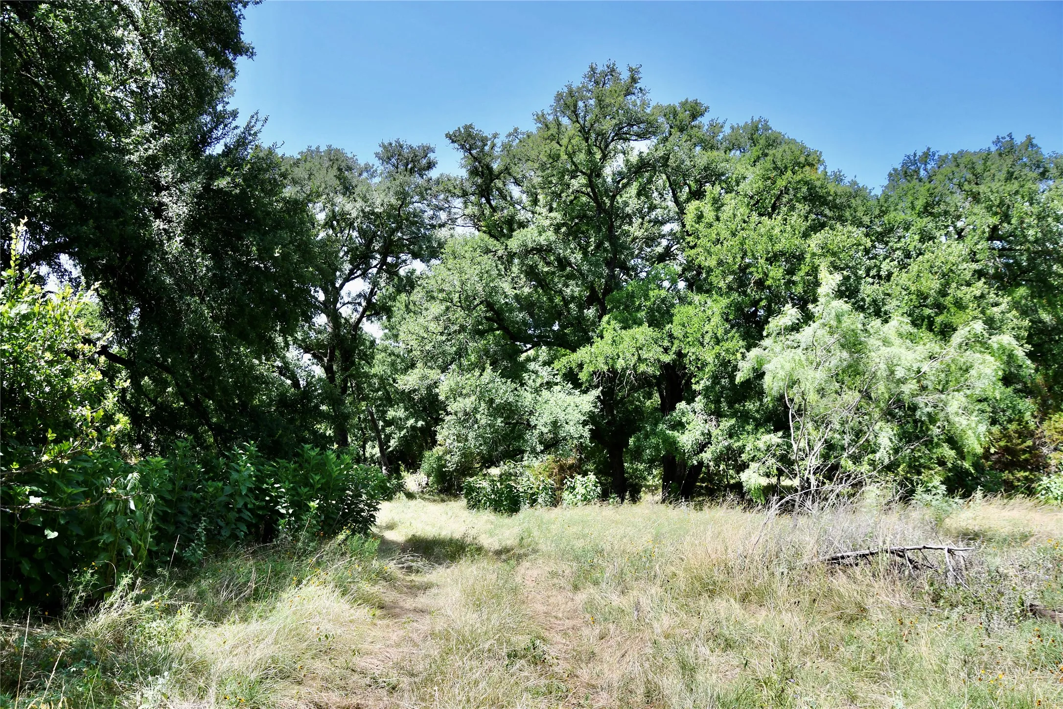 Ranch For Sale in Lampasas County , TBD CR 3340, Kempner, Texas 76539, 0, 0, Garage spaces, 0 Sqft, built in 0, Price $962,500, mls#21321325, Real Estate Agent in Kempner, Homes For Sale in Lampasas county, Homes For Sale in Kempner, Realtor in Kempner Texas, Real Estate Brokerage Independent Realty Texas, Luminita Cordes Realtor