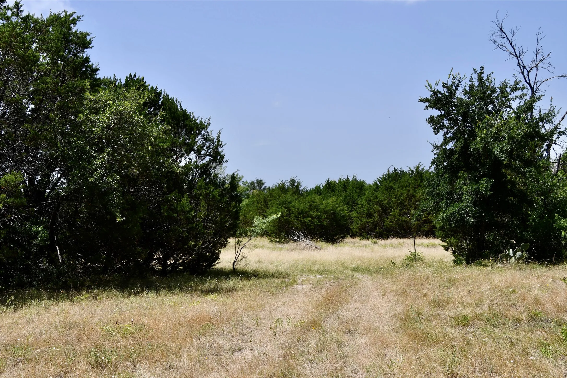 Ranch For Sale in Lampasas County , TBD CR 3340, Kempner, Texas 76539, 0, 0, Garage spaces, 0 Sqft, built in 0, Price $962,500, mls#21321325, Real Estate Agent in Kempner, Homes For Sale in Lampasas county, Homes For Sale in Kempner, Realtor in Kempner Texas, Real Estate Brokerage Independent Realty Texas, Luminita Cordes Realtor