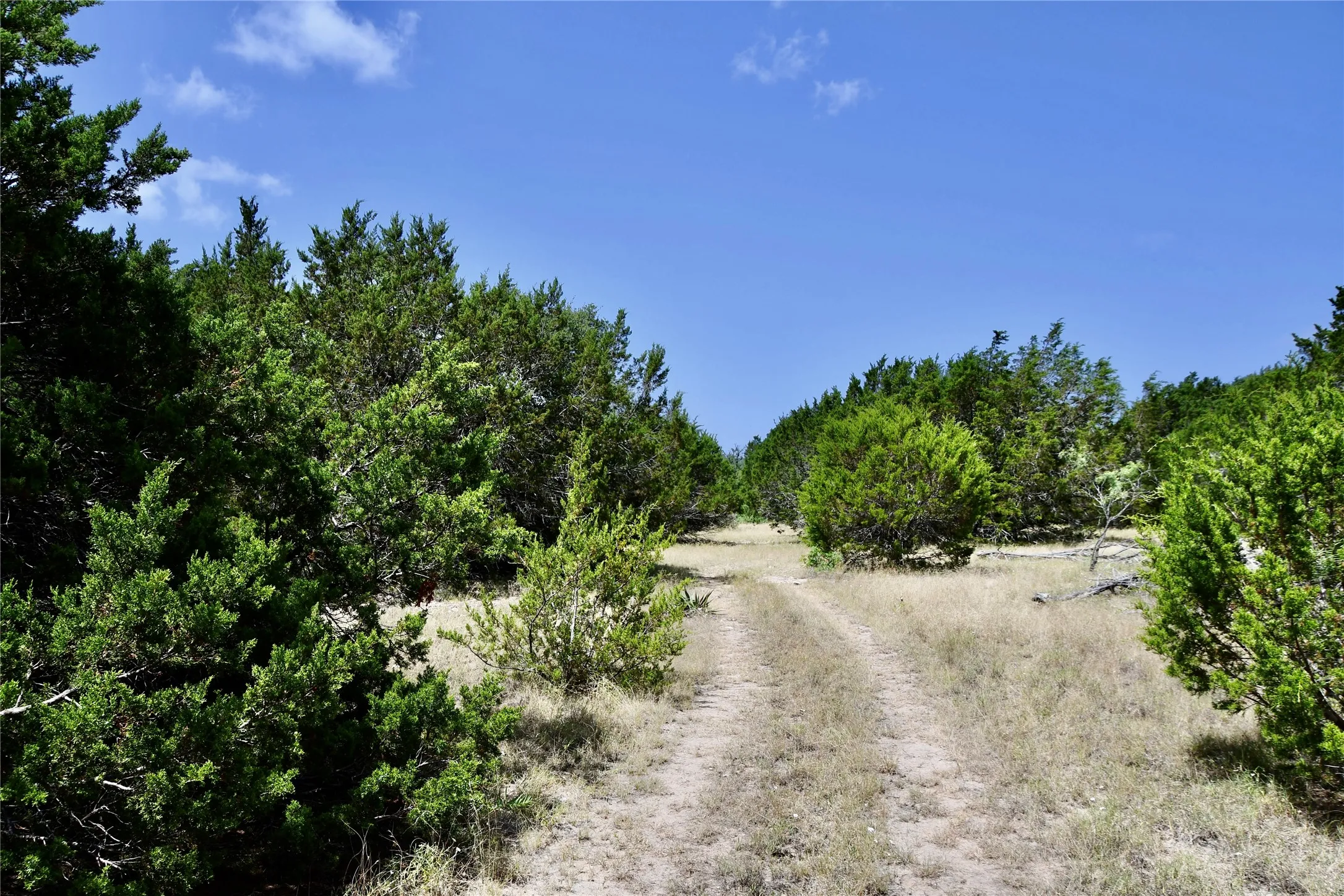 Ranch For Sale in Lampasas County , TBD CR 3340, Kempner, Texas 76539, 0, 0, Garage spaces, 0 Sqft, built in 0, Price $962,500, mls#21321325, Real Estate Agent in Kempner, Homes For Sale in Lampasas county, Homes For Sale in Kempner, Realtor in Kempner Texas, Real Estate Brokerage Independent Realty Texas, Luminita Cordes Realtor