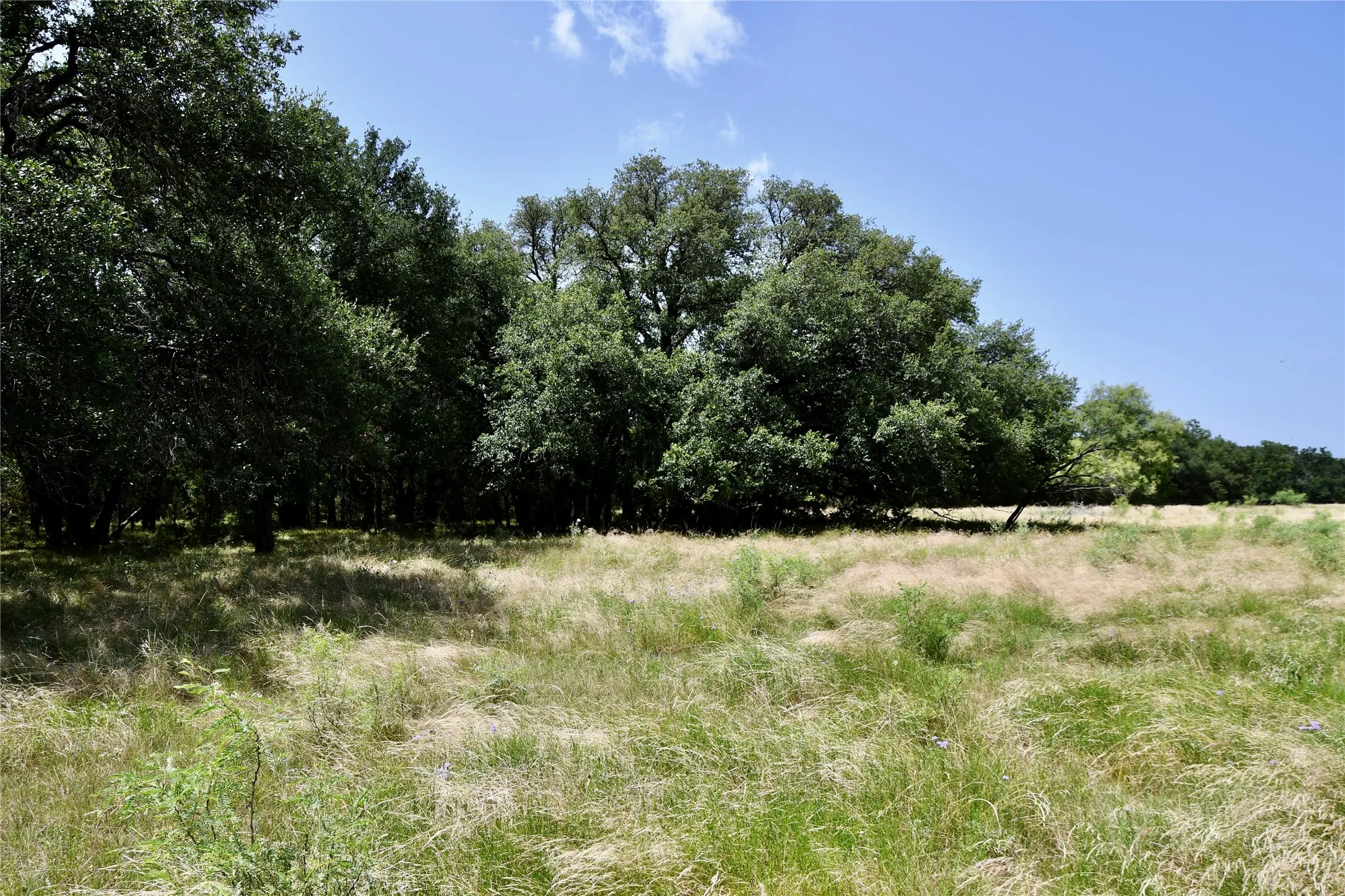 Ranch For Sale in Lampasas County , TBD CR 3340, Kempner, Texas 76539, 0, 0, Garage spaces, 0 Sqft, built in 0, Price $962,500, mls#21321325, Real Estate Agent in Kempner, Homes For Sale in Lampasas county, Homes For Sale in Kempner, Realtor in Kempner Texas, Real Estate Brokerage Independent Realty Texas, Luminita Cordes Realtor