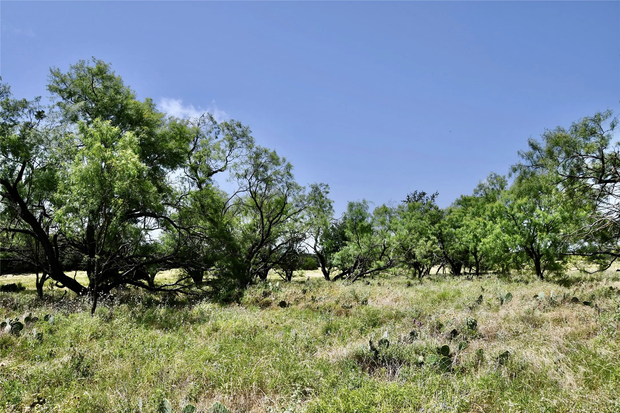Ranch For Sale in Lampasas County , TBD CR 3340, Kempner, Texas 76539, 0, 0, Garage spaces, 0 Sqft, built in 0, Price $962,500, mls#21321325, Real Estate Agent in Kempner, Homes For Sale in Lampasas county, Homes For Sale in Kempner, Realtor in Kempner Texas, Real Estate Brokerage Independent Realty Texas, Luminita Cordes Realtor