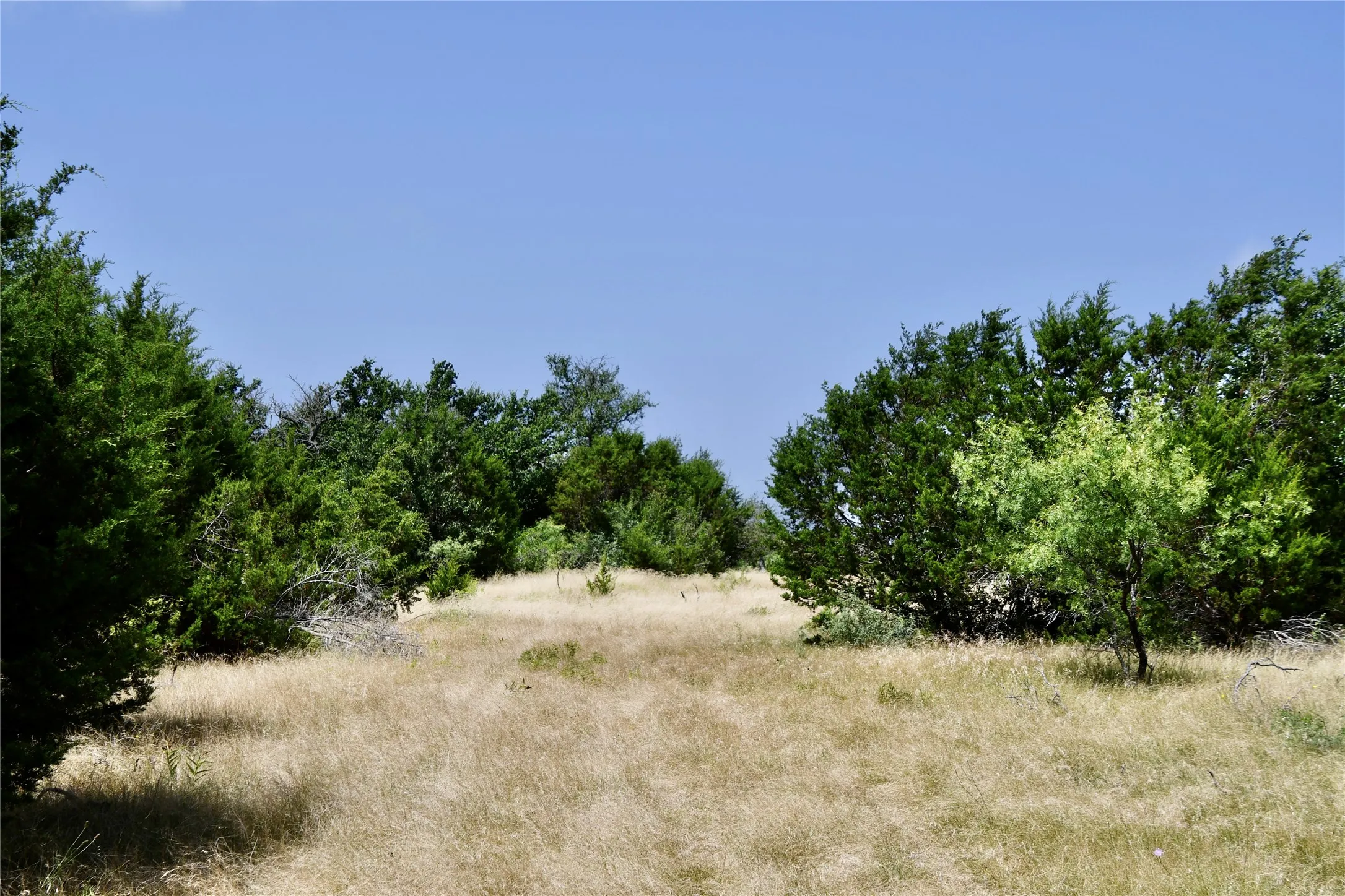 Ranch For Sale in Lampasas County , TBD CR 3340, Kempner, Texas 76539, 0, 0, Garage spaces, 0 Sqft, built in 0, Price $962,500, mls#21321325, Real Estate Agent in Kempner, Homes For Sale in Lampasas county, Homes For Sale in Kempner, Realtor in Kempner Texas, Real Estate Brokerage Independent Realty Texas, Luminita Cordes Realtor
