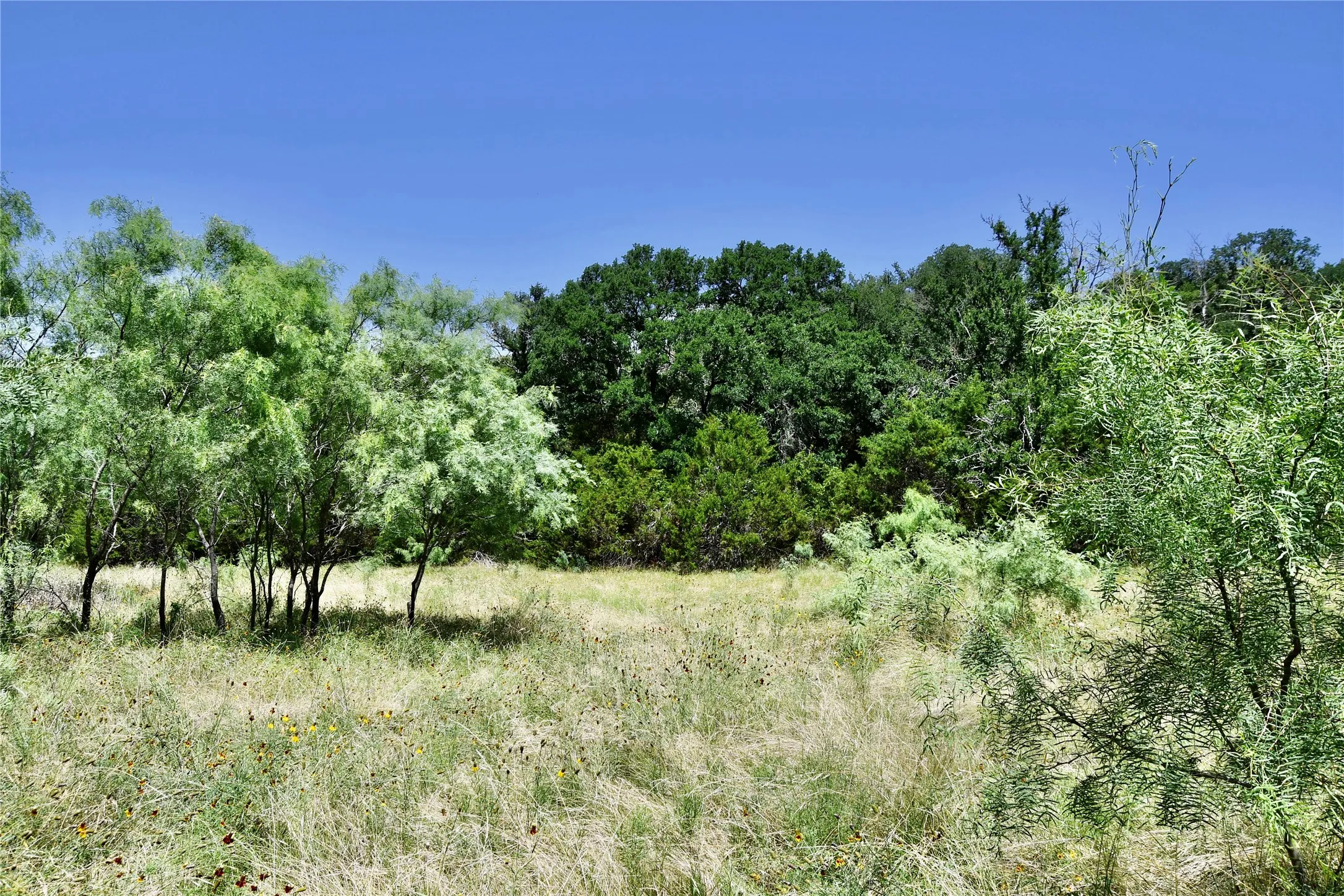 Ranch For Sale in Lampasas County , TBD CR 3340, Kempner, Texas 76539, 0, 0, Garage spaces, 0 Sqft, built in 0, Price $962,500, mls#21321325, Real Estate Agent in Kempner, Homes For Sale in Lampasas county, Homes For Sale in Kempner, Realtor in Kempner Texas, Real Estate Brokerage Independent Realty Texas, Luminita Cordes Realtor