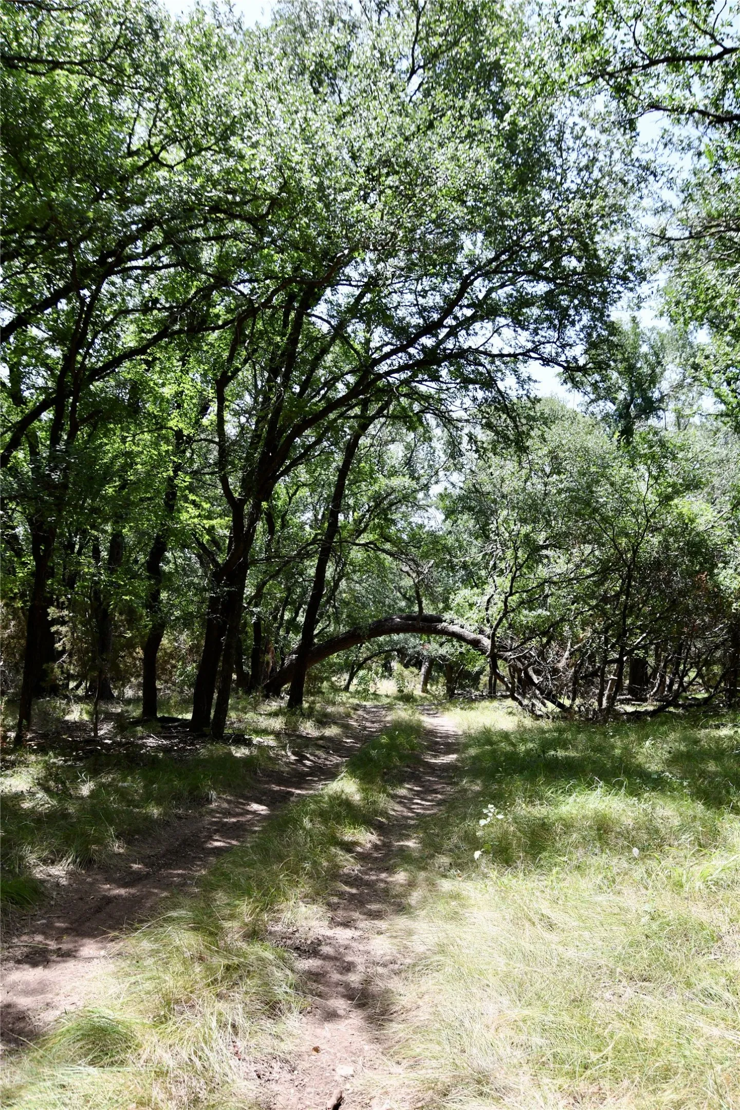 Ranch For Sale in Lampasas County , TBD CR 3340, Kempner, Texas 76539, 0, 0, Garage spaces, 0 Sqft, built in 0, Price $962,500, mls#21321325, Real Estate Agent in Kempner, Homes For Sale in Lampasas county, Homes For Sale in Kempner, Realtor in Kempner Texas, Real Estate Brokerage Independent Realty Texas, Luminita Cordes Realtor