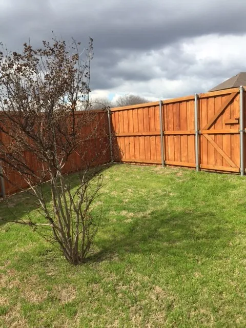 Backyard with new fence in 2014