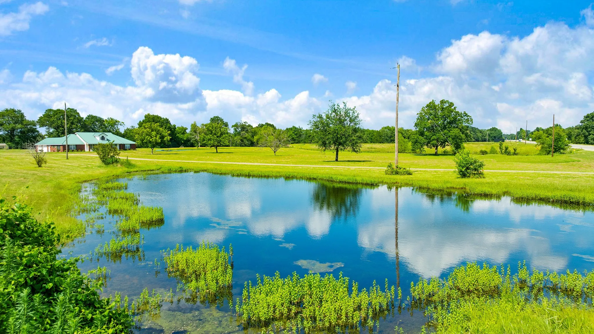 Single Family Residence For Sale in Lamar County , 1005 Us-82, Blossom, Texas 75416, 3 Bedroom, 4 Bathroom, 2 Garage spaces, 2,780 Sqft, built in 1998, mls#21318646, Real Estate Agent in Blossom, Homes For Sale in Lamar county, Homes For Sale in Blossom, Realtor in Blossom Texas, Real Estate Brokerage Independent Realty Texas, Luminita Cordes Realtor