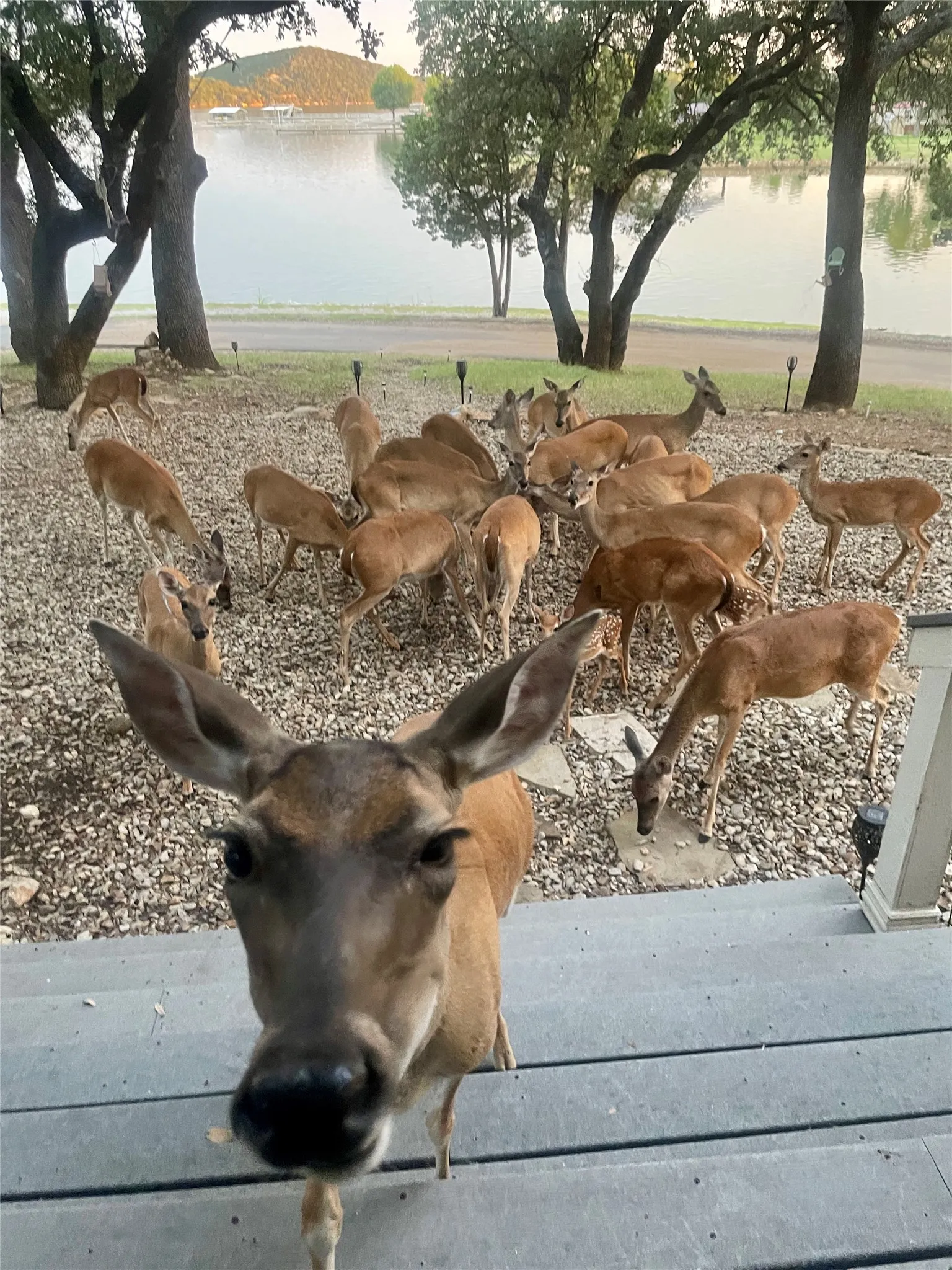 Manufactured Home For Sale in Palo Pinto County , 2334 Sanbar Road 49, Possum Kingdom Lake, Texas 76449, 3 Bedroom, 2 Bathroom, Garage spaces, 1,232 Sqft, built in 2004, mls#21319217, Real Estate Agent in Possum Kingdom Lake, Homes For Sale in Palo Pinto county, Homes For Sale in Possum Kingdom Lake, Realtor in Possum Kingdom Lake Texas, Real Estate Brokerage Independent Realty Texas, Luminita Cordes Realtor