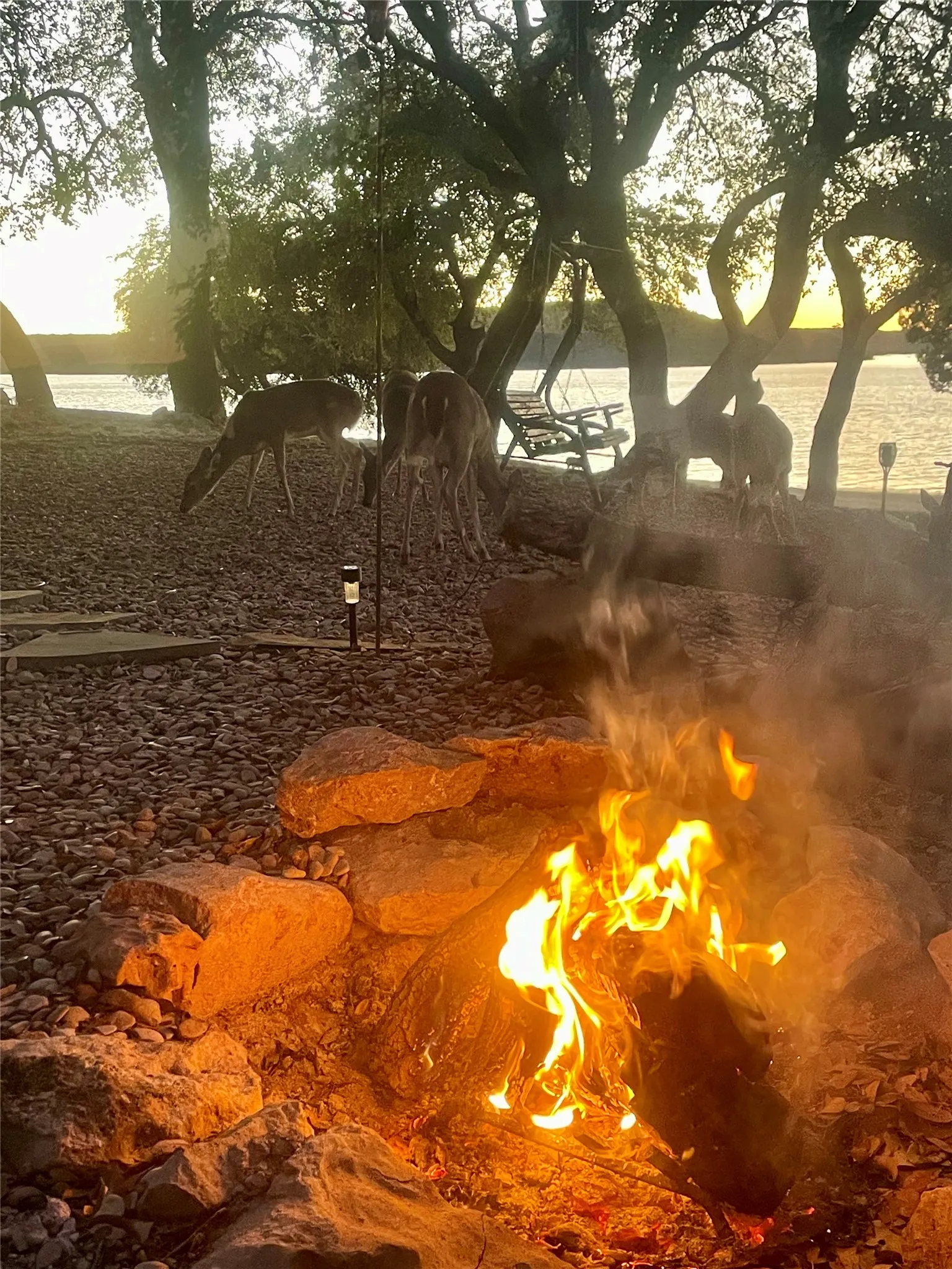 Manufactured Home For Sale in Palo Pinto County , 2334 Sanbar Road 49, Possum Kingdom Lake, Texas 76449, 3 Bedroom, 2 Bathroom, Garage spaces, 1,232 Sqft, built in 2004, mls#21319217, Real Estate Agent in Possum Kingdom Lake, Homes For Sale in Palo Pinto county, Homes For Sale in Possum Kingdom Lake, Realtor in Possum Kingdom Lake Texas, Real Estate Brokerage Independent Realty Texas, Luminita Cordes Realtor
