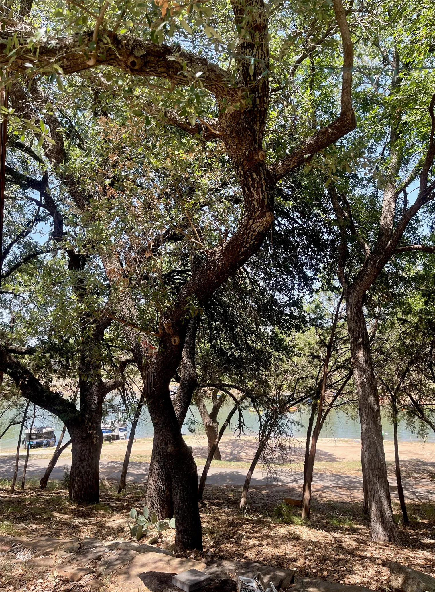 Manufactured Home For Sale in Palo Pinto County , 2334 Sanbar Road 49, Possum Kingdom Lake, Texas 76449, 3 Bedroom, 2 Bathroom, Garage spaces, 1,232 Sqft, built in 2004, mls#21319217, Real Estate Agent in Possum Kingdom Lake, Homes For Sale in Palo Pinto county, Homes For Sale in Possum Kingdom Lake, Realtor in Possum Kingdom Lake Texas, Real Estate Brokerage Independent Realty Texas, Luminita Cordes Realtor