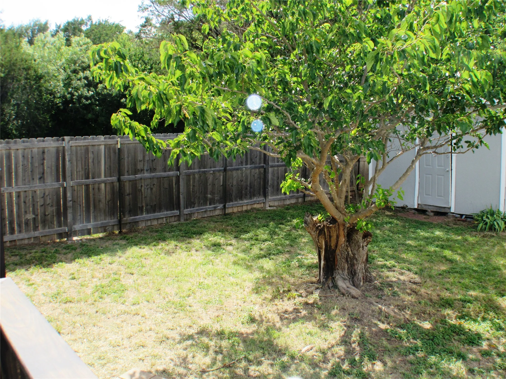 Looking towards the far corner of the fenced area of your yard. Nice wooden fence along the perimeter!