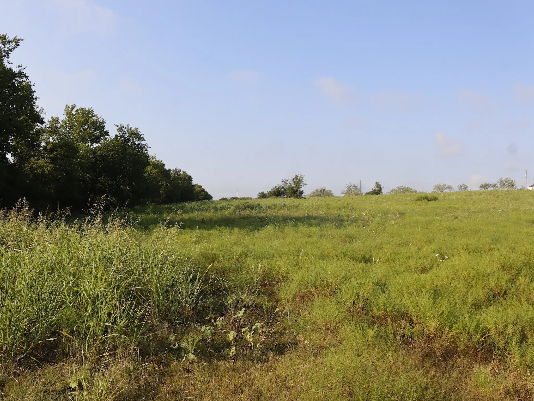 Unimproved Land For Sale in Ellis County , TBD Lot 3 & 4 Alsdorf Road, Ennis, Texas 75119, 0, 0, Garage spaces, 0 Sqft, built in 0, mls#21321225, Real Estate Agent in Ennis, Homes For Sale in Ellis county, Homes For Sale in Ennis, Realtor in Ennis Texas, Real Estate Brokerage Independent Realty Texas, Luminita Cordes Realtor