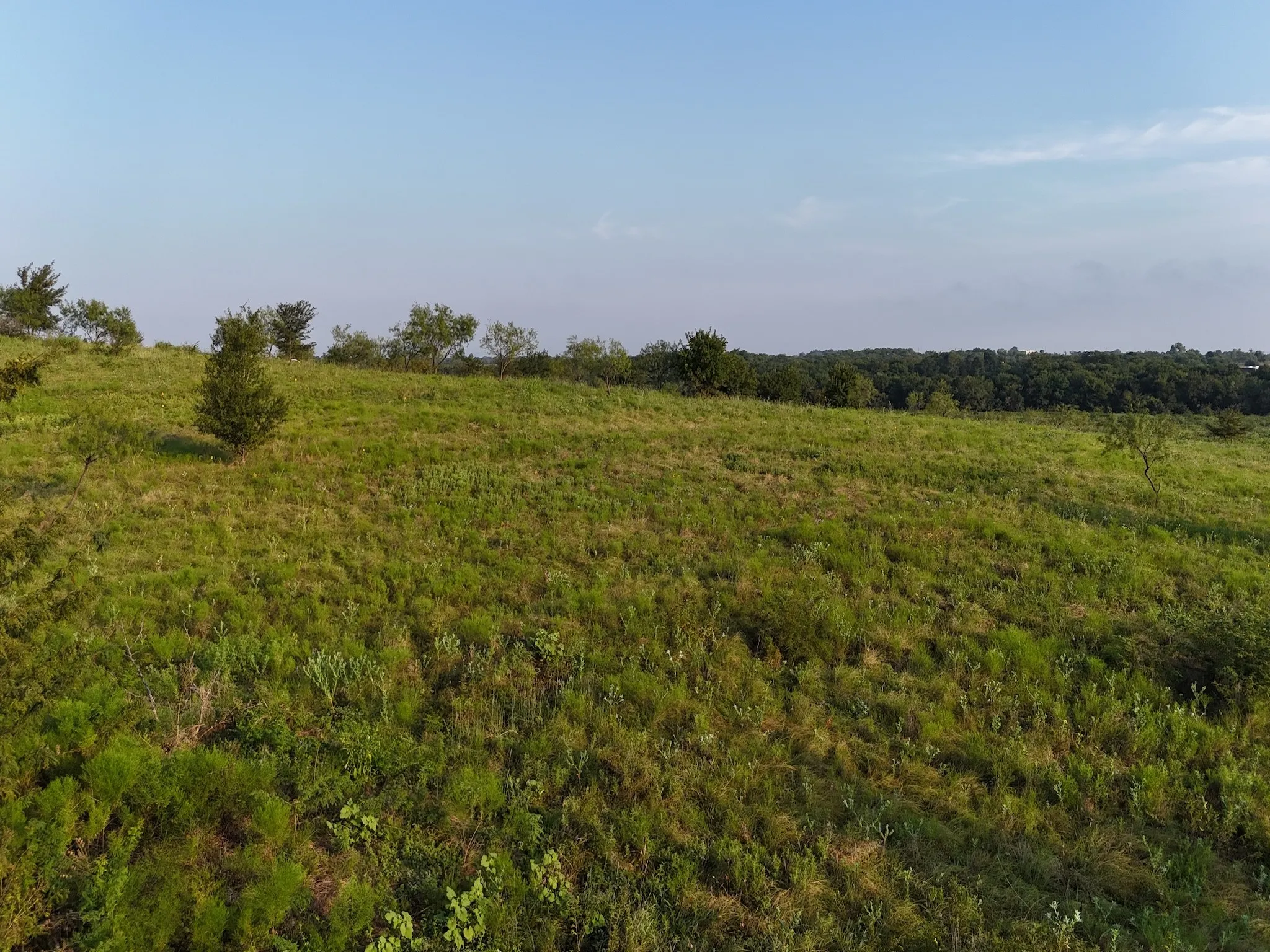 Unimproved Land For Sale in Ellis County , TBD Lot 3 & 4 Alsdorf Road, Ennis, Texas 75119, 0, 0, Garage spaces, 0 Sqft, built in 0, mls#21321225, Real Estate Agent in Ennis, Homes For Sale in Ellis county, Homes For Sale in Ennis, Realtor in Ennis Texas, Real Estate Brokerage Independent Realty Texas, Luminita Cordes Realtor