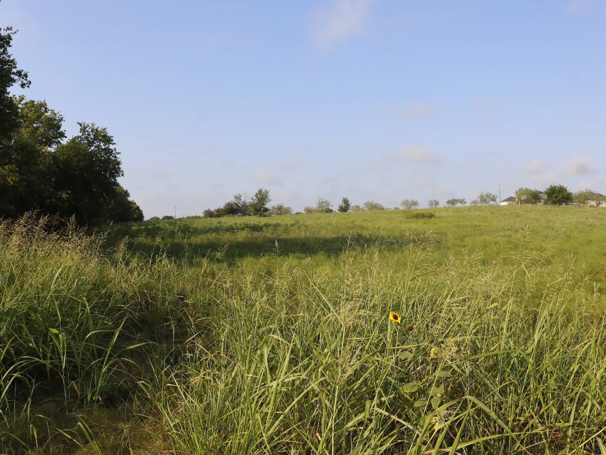 Unimproved Land For Sale in Ellis County , TBD Lot 3 & 4 Alsdorf Road, Ennis, Texas 75119, 0, 0, Garage spaces, 0 Sqft, built in 0, mls#21321225, Real Estate Agent in Ennis, Homes For Sale in Ellis county, Homes For Sale in Ennis, Realtor in Ennis Texas, Real Estate Brokerage Independent Realty Texas, Luminita Cordes Realtor