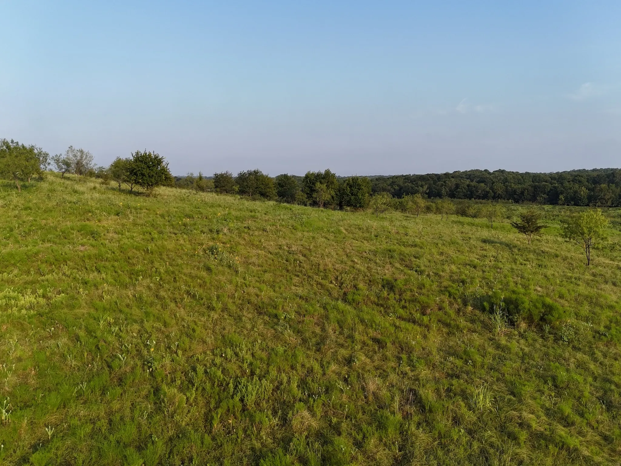 Unimproved Land For Sale in Ellis County , TBD Lot 3 & 4 Alsdorf Road, Ennis, Texas 75119, 0, 0, Garage spaces, 0 Sqft, built in 0, mls#21321225, Real Estate Agent in Ennis, Homes For Sale in Ellis county, Homes For Sale in Ennis, Realtor in Ennis Texas, Real Estate Brokerage Independent Realty Texas, Luminita Cordes Realtor