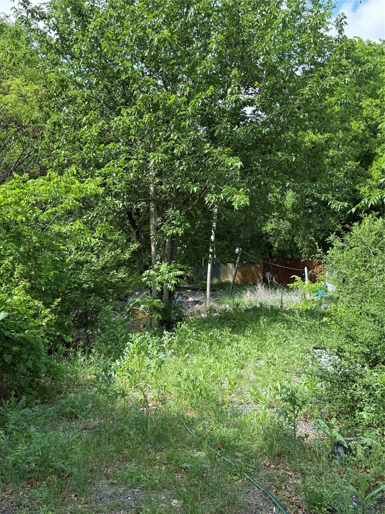 Mature trees and abundant foliage define this natural landscape