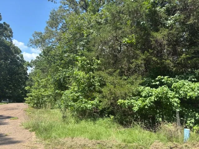 Unimproved Land For Sale in Franklin (TX) County , TBD Croton Lane, Mount Vernon, Texas 75457, 0, 0, Garage spaces, 0 Sqft, built in 0, Price $19,000, mls#21317457, Real Estate Agent in Mount Vernon, Homes For Sale in Franklin (TX) county, Homes For Sale in Mount Vernon, Realtor in Mount Vernon Texas, Real Estate Brokerage Independent Realty Texas, Luminita Cordes Realtor