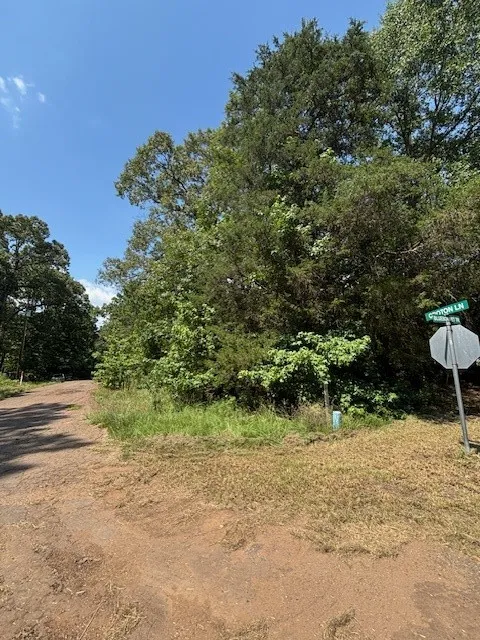 Unimproved Land For Sale in Franklin (TX) County , TBD Croton Lane, Mount Vernon, Texas 75457, 0, 0, Garage spaces, 0 Sqft, built in 0, Price $19,000, mls#21317457, Real Estate Agent in Mount Vernon, Homes For Sale in Franklin (TX) county, Homes For Sale in Mount Vernon, Realtor in Mount Vernon Texas, Real Estate Brokerage Independent Realty Texas, Luminita Cordes Realtor