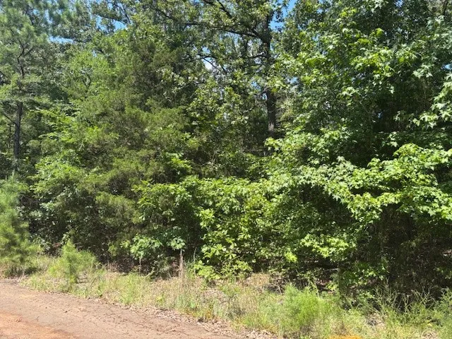 Unimproved Land For Sale in Franklin (TX) County , TBD Croton Lane, Mount Vernon, Texas 75457, 0, 0, Garage spaces, 0 Sqft, built in 0, Price $19,000, mls#21317457, Real Estate Agent in Mount Vernon, Homes For Sale in Franklin (TX) county, Homes For Sale in Mount Vernon, Realtor in Mount Vernon Texas, Real Estate Brokerage Independent Realty Texas, Luminita Cordes Realtor