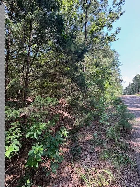 Unimproved Land For Sale in Franklin (TX) County , TBD Croton Lane, Mount Vernon, Texas 75457, 0, 0, Garage spaces, 0 Sqft, built in 0, Price $19,000, mls#21317457, Real Estate Agent in Mount Vernon, Homes For Sale in Franklin (TX) county, Homes For Sale in Mount Vernon, Realtor in Mount Vernon Texas, Real Estate Brokerage Independent Realty Texas, Luminita Cordes Realtor